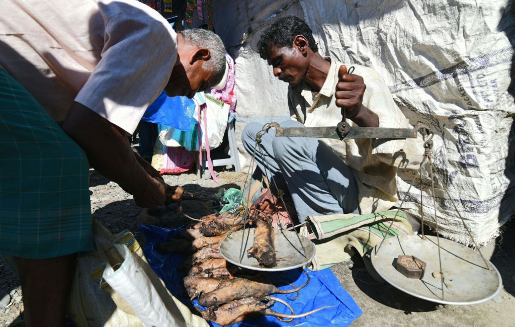 INDIA-FOOD-ANIMAL-RAT