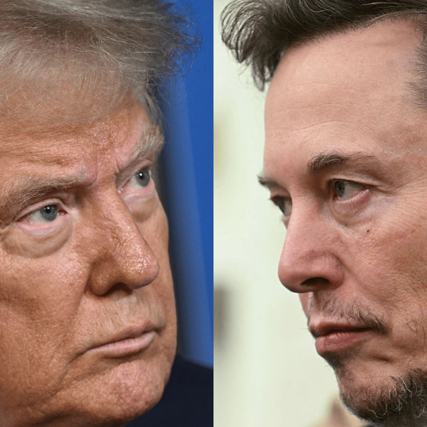 Donald Trump and Elon Musk