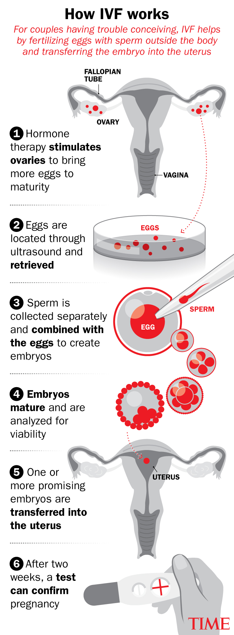 IVF Changed America. But Its Future Is Under Threat