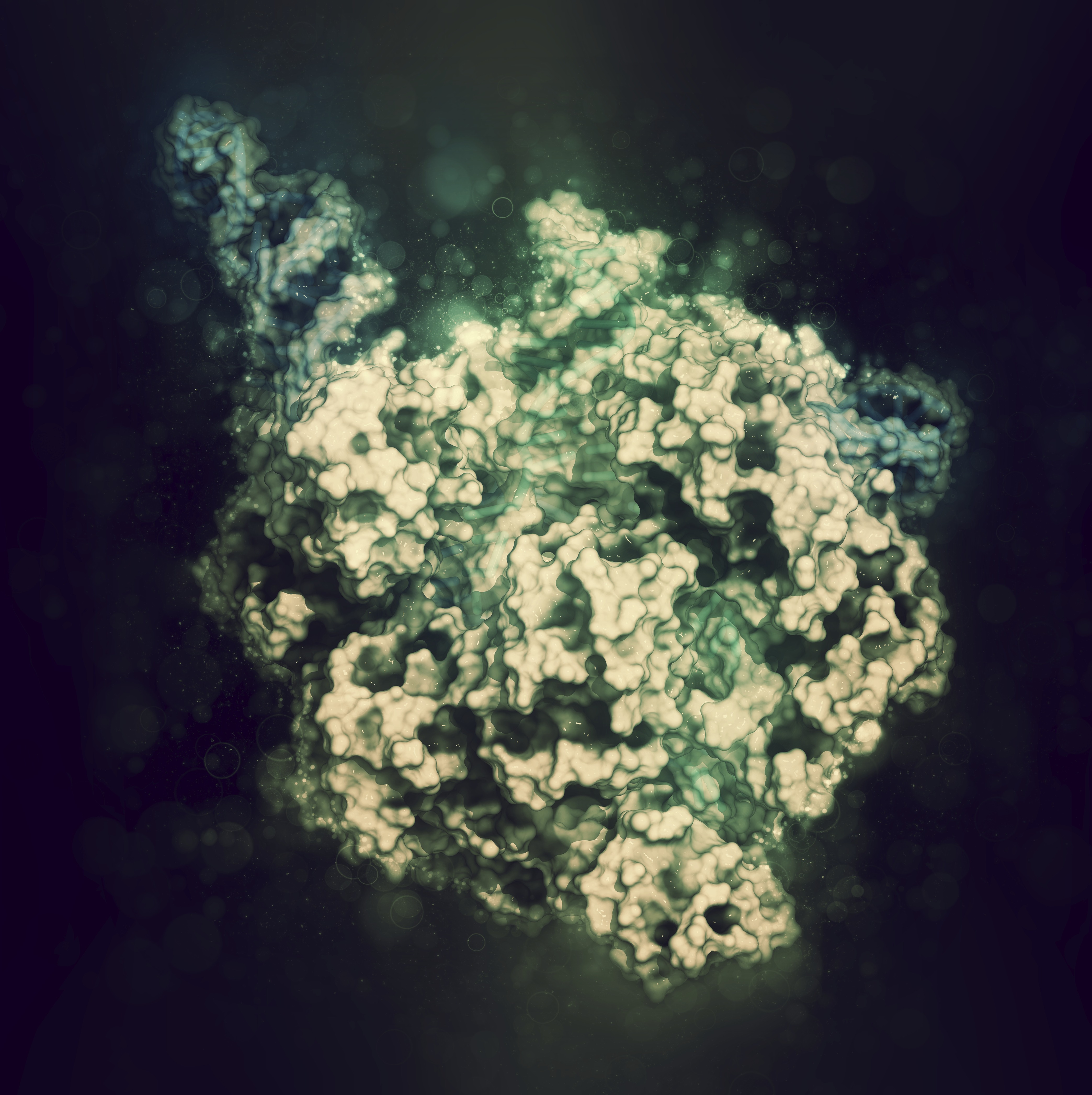 CRISPR-Cas9 gene editing complex