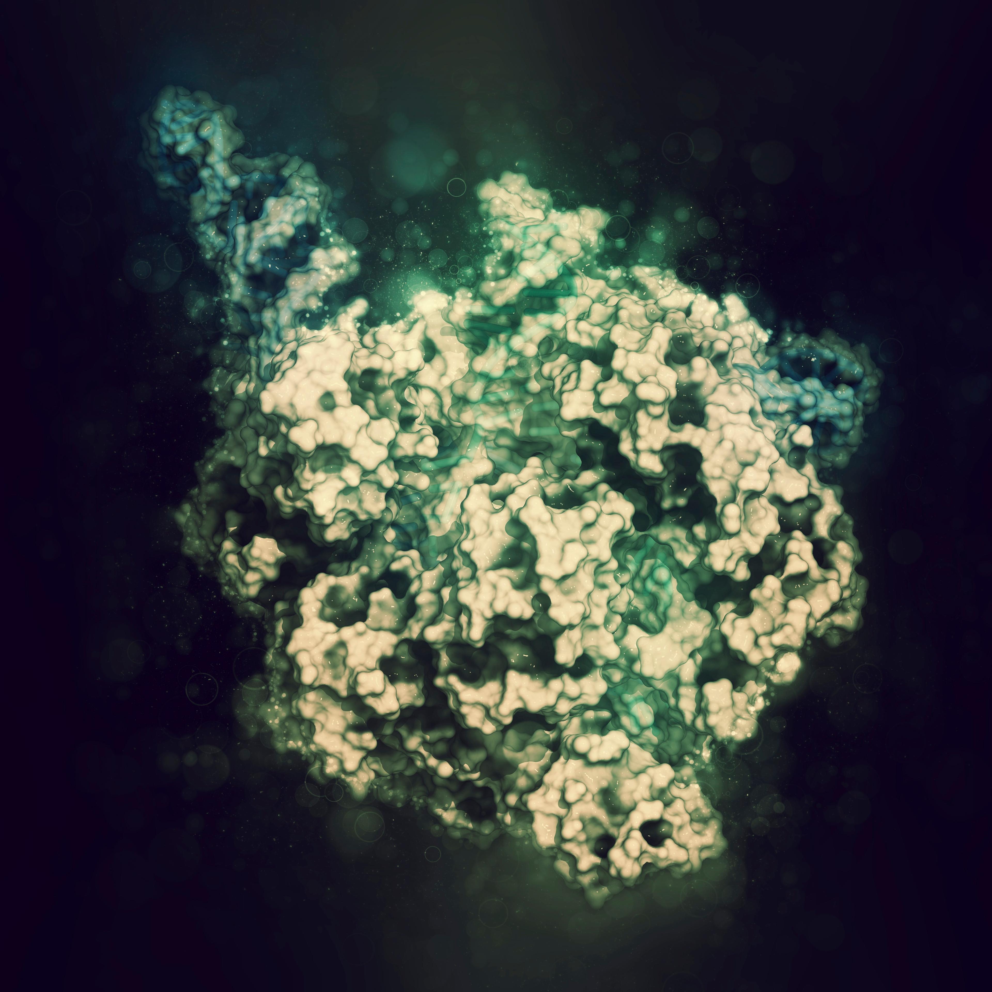 CRISPR-Cas9 gene editing complex