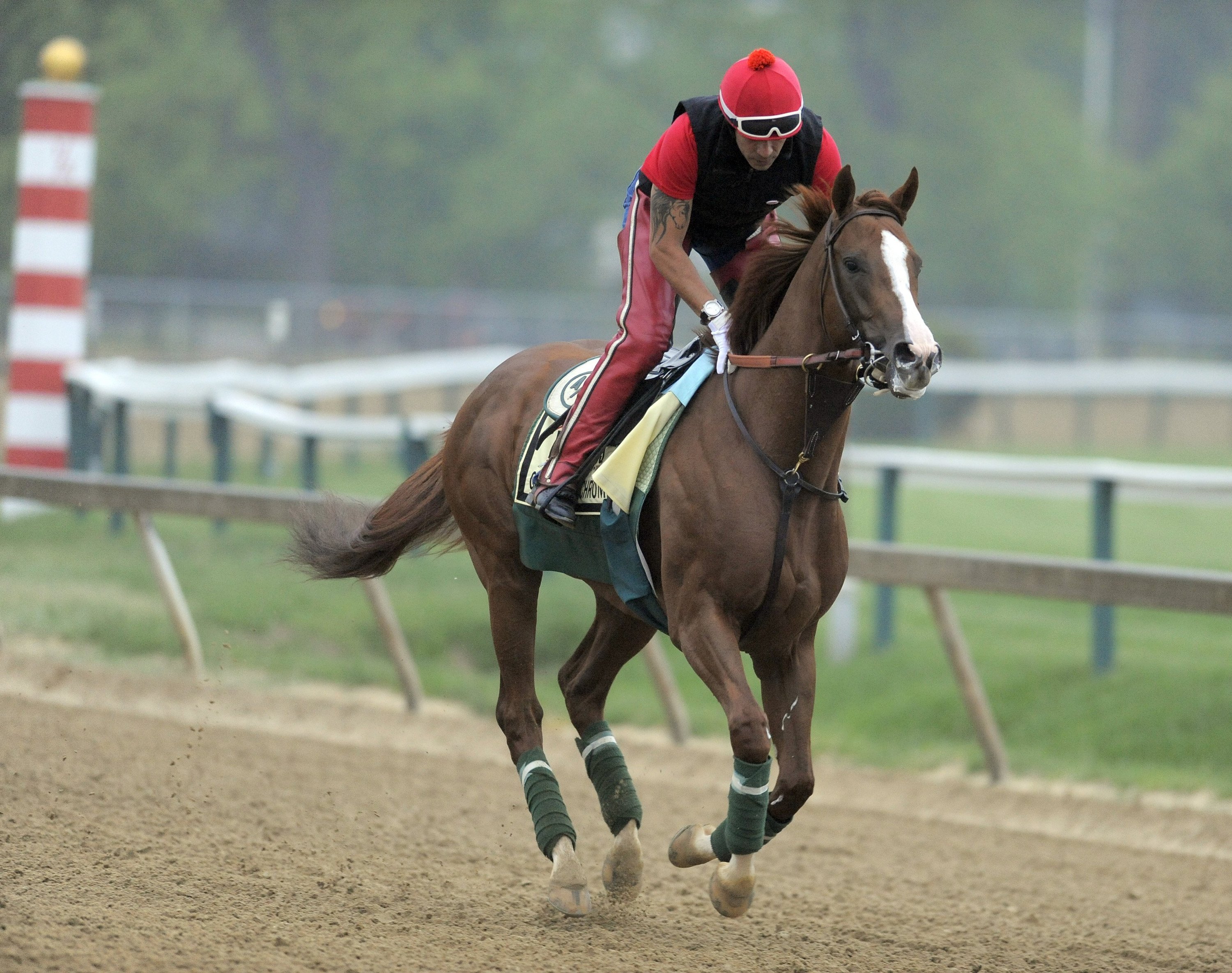 Preakness workouts