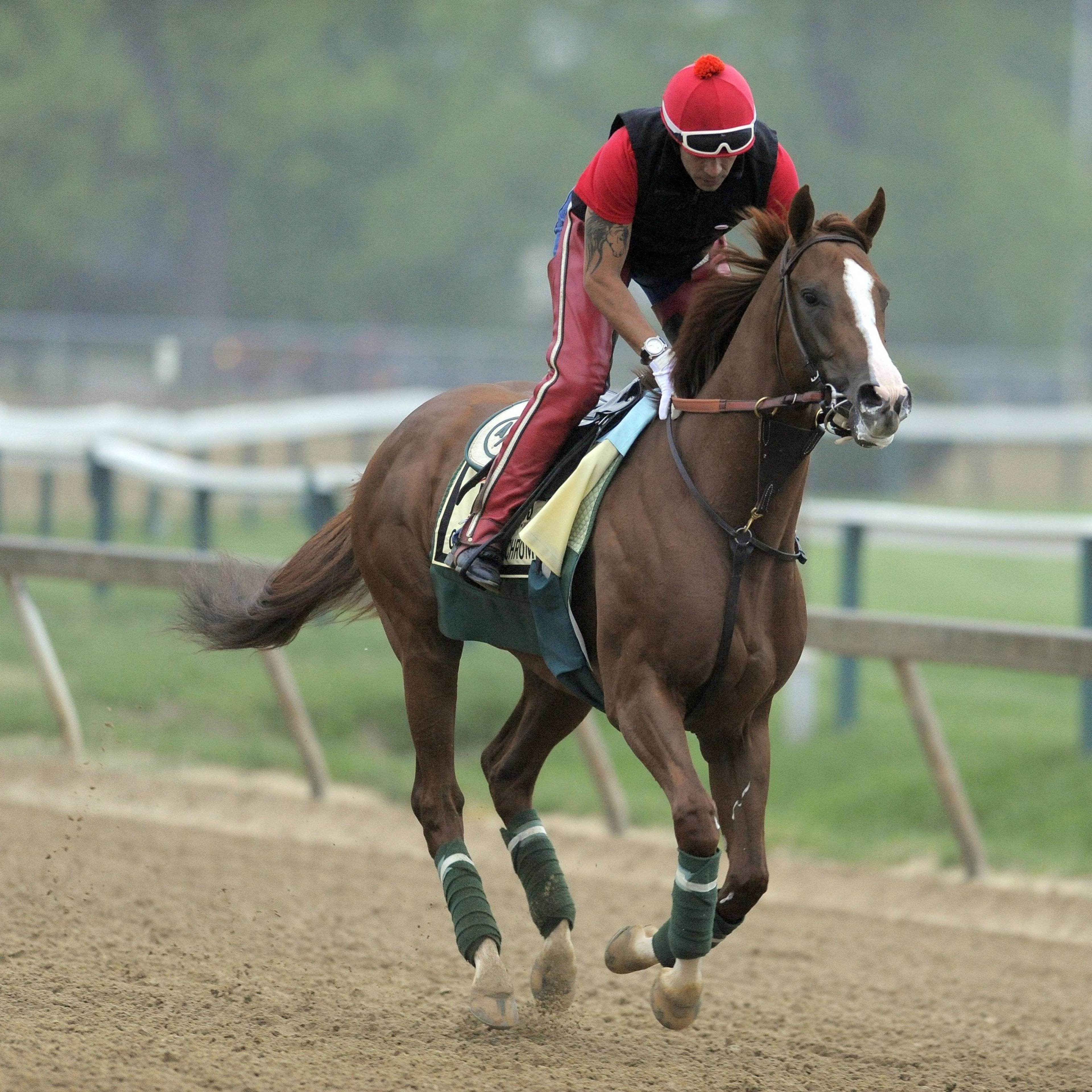 Preakness workouts