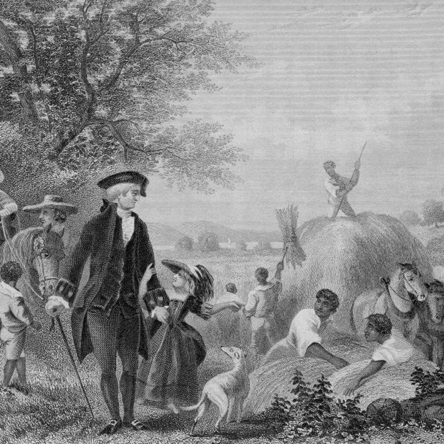 Enslaved By Washington