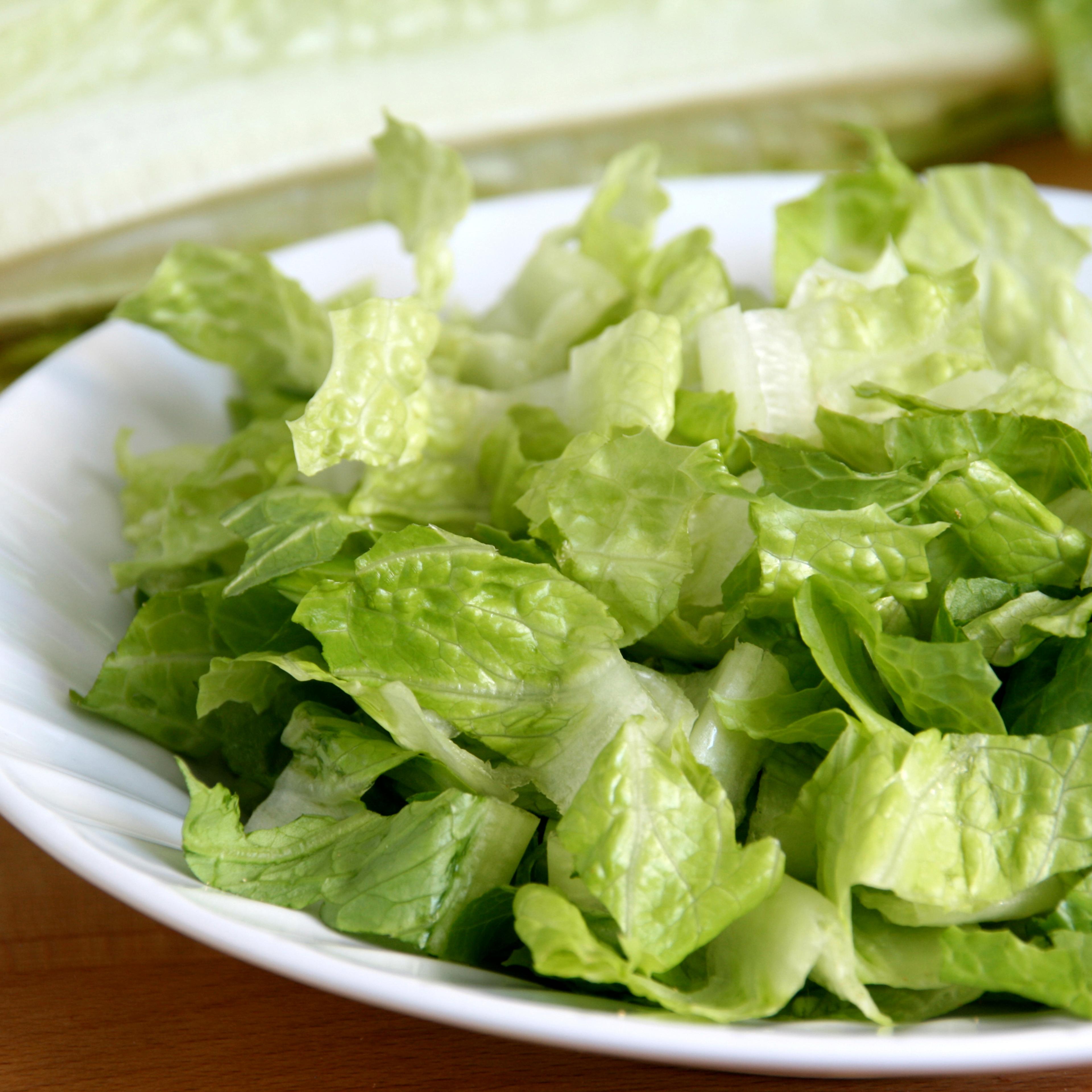 romaine cut salad