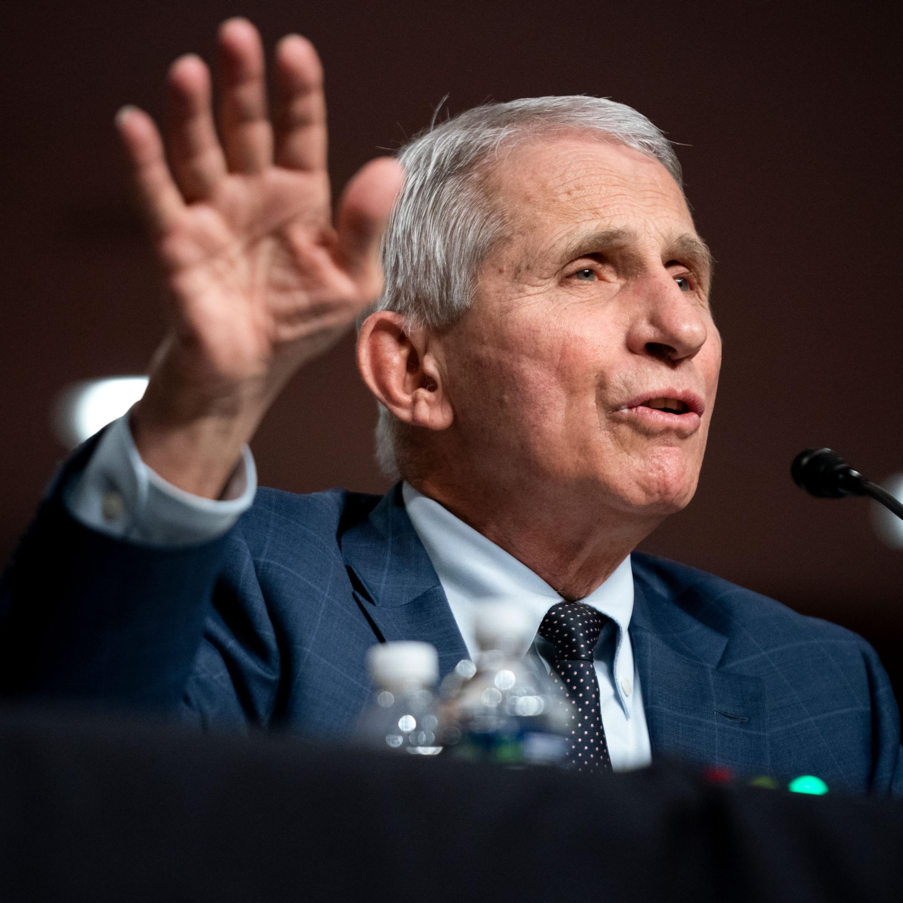 Anthony Fauci testifies at a Senate committee hearing