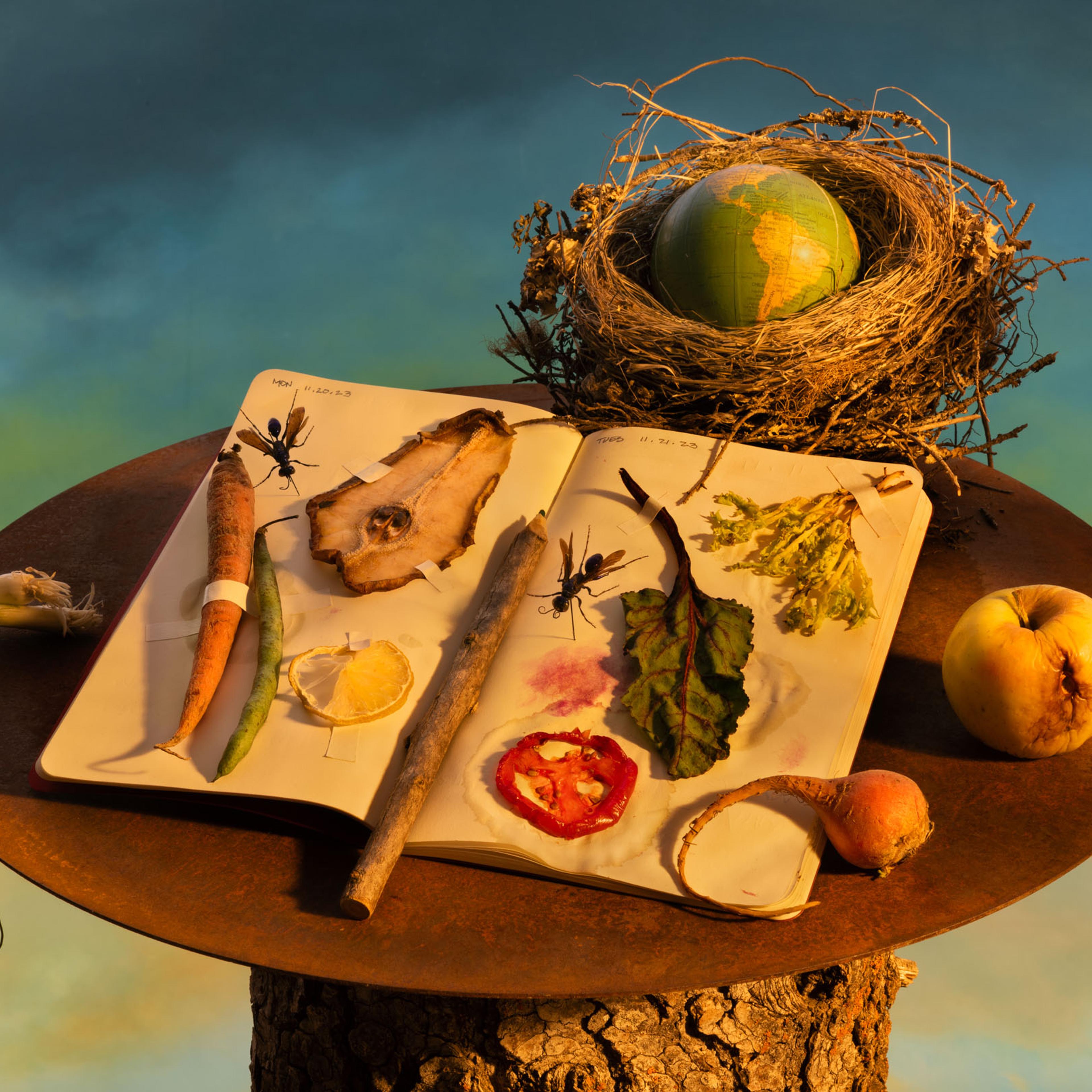 Food waste still life