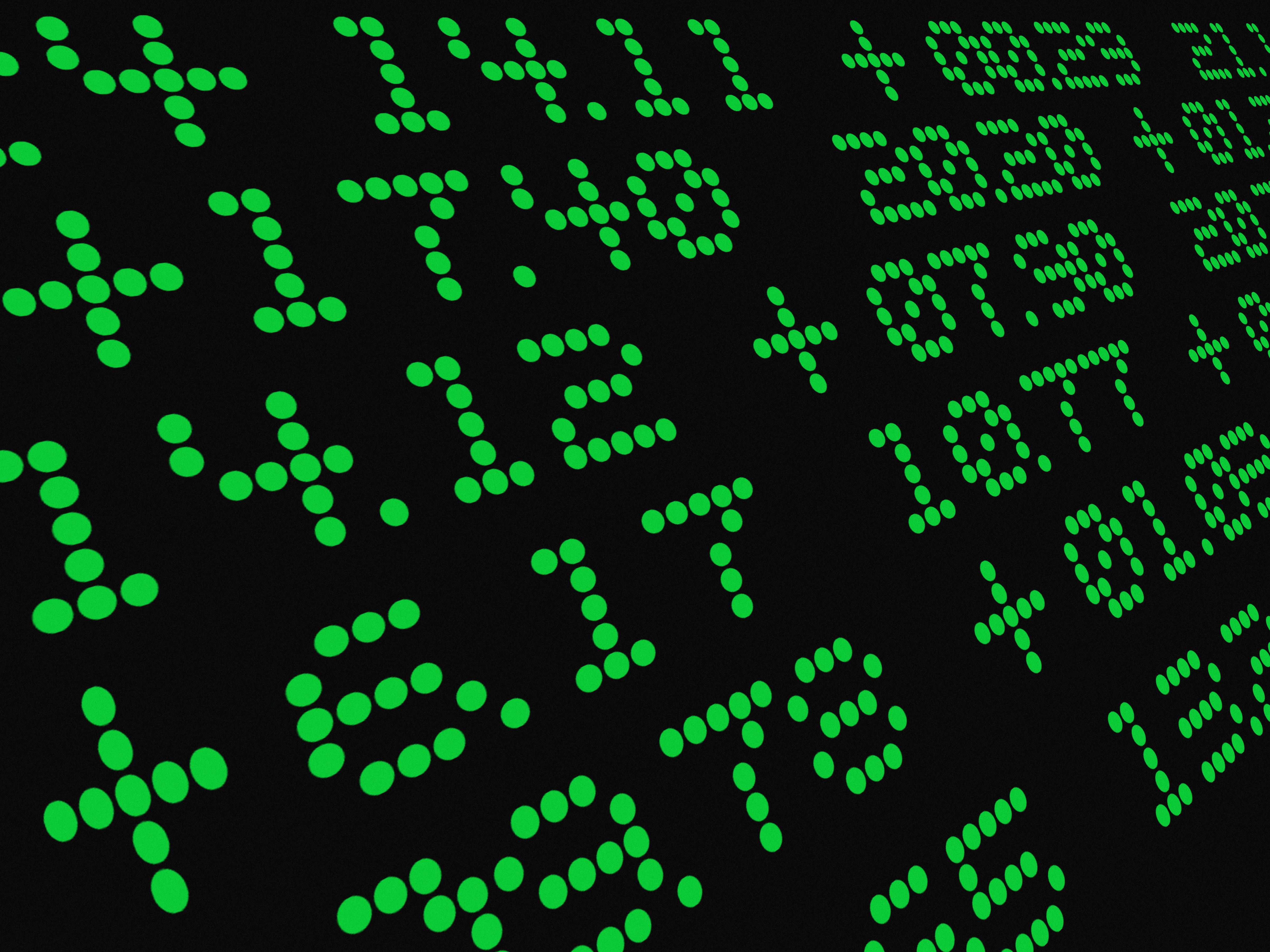 stock-market-data-screen