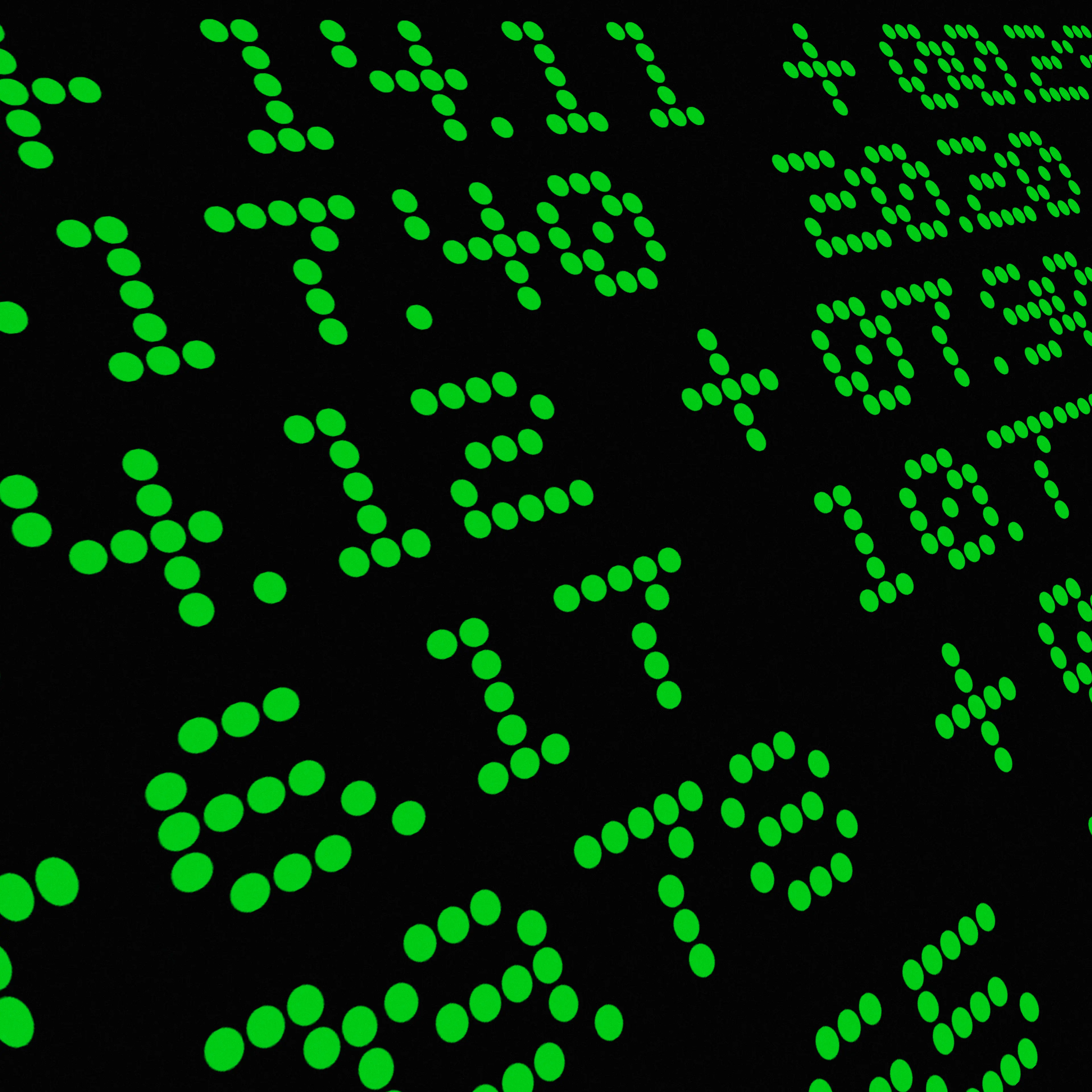 stock-market-data-screen