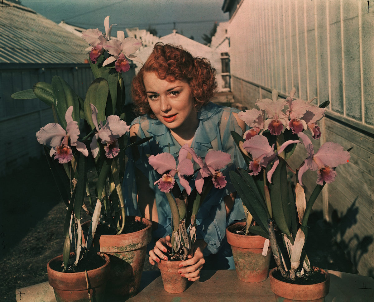 Anne Shirley