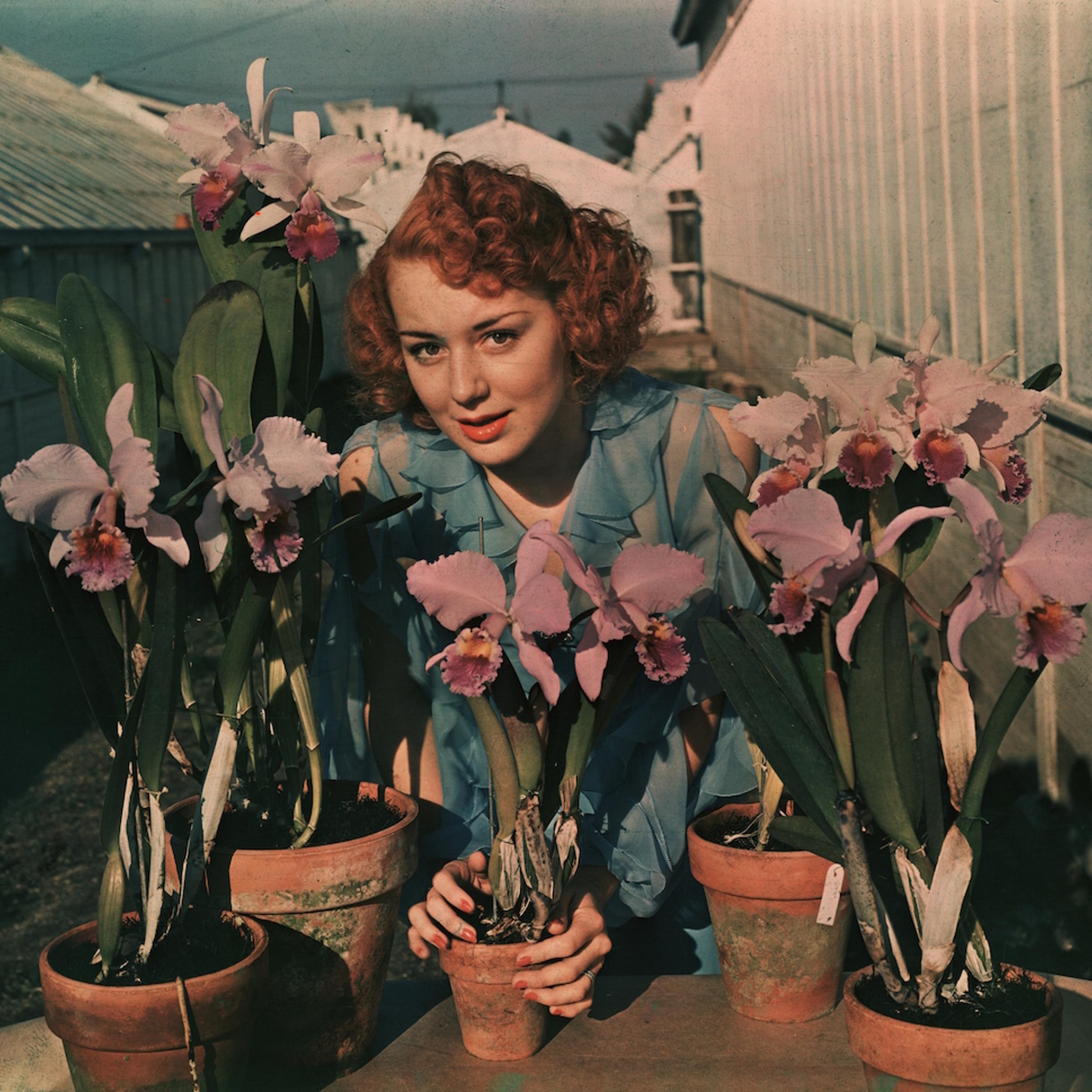 Anne Shirley