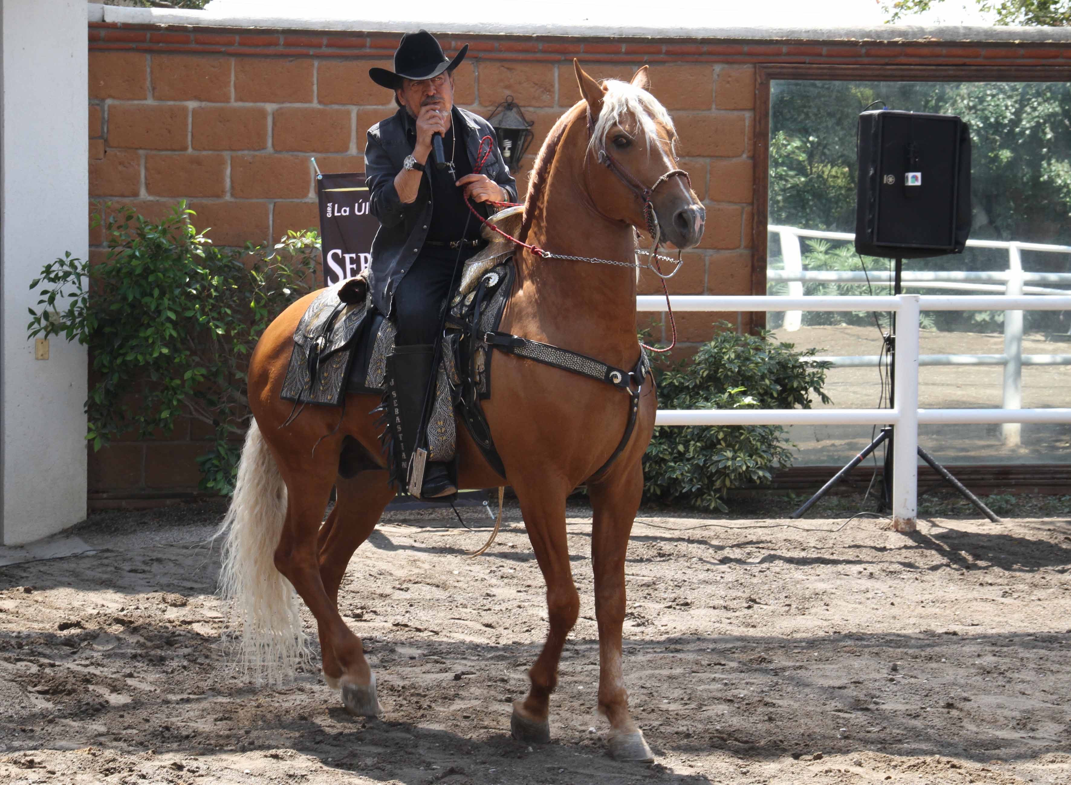Sebastian on a horse