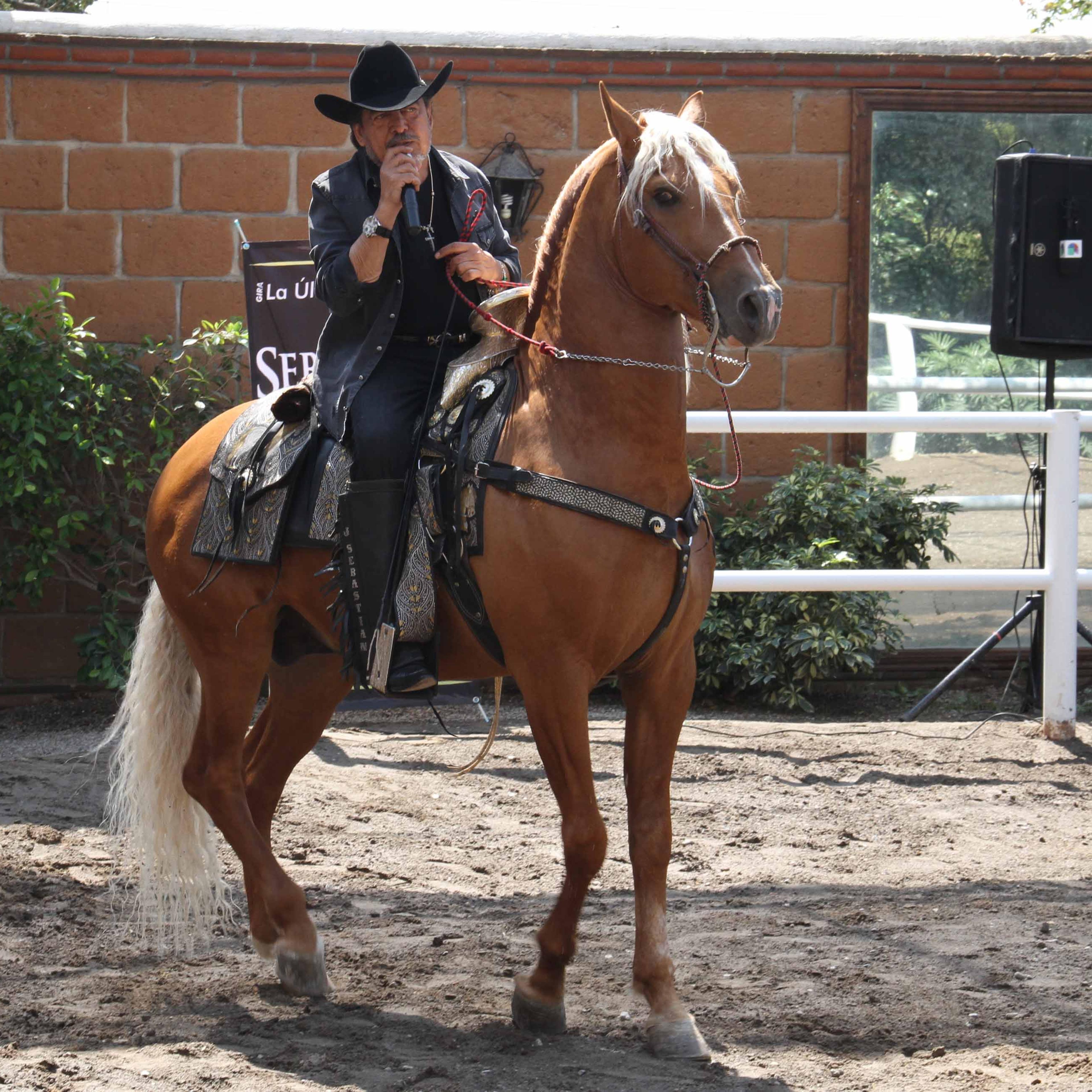 Sebastian on a horse