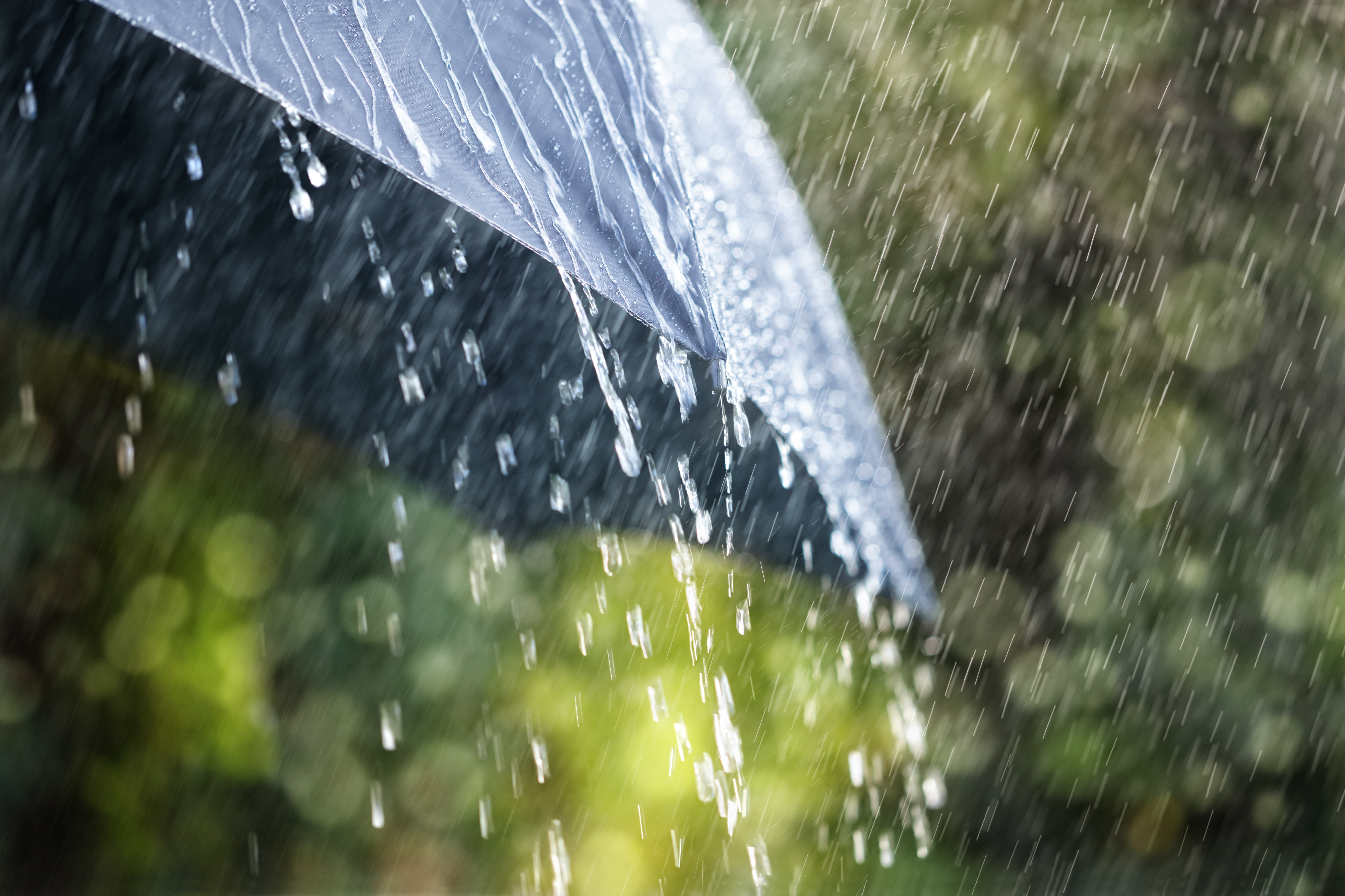 umbrella rain spring weather