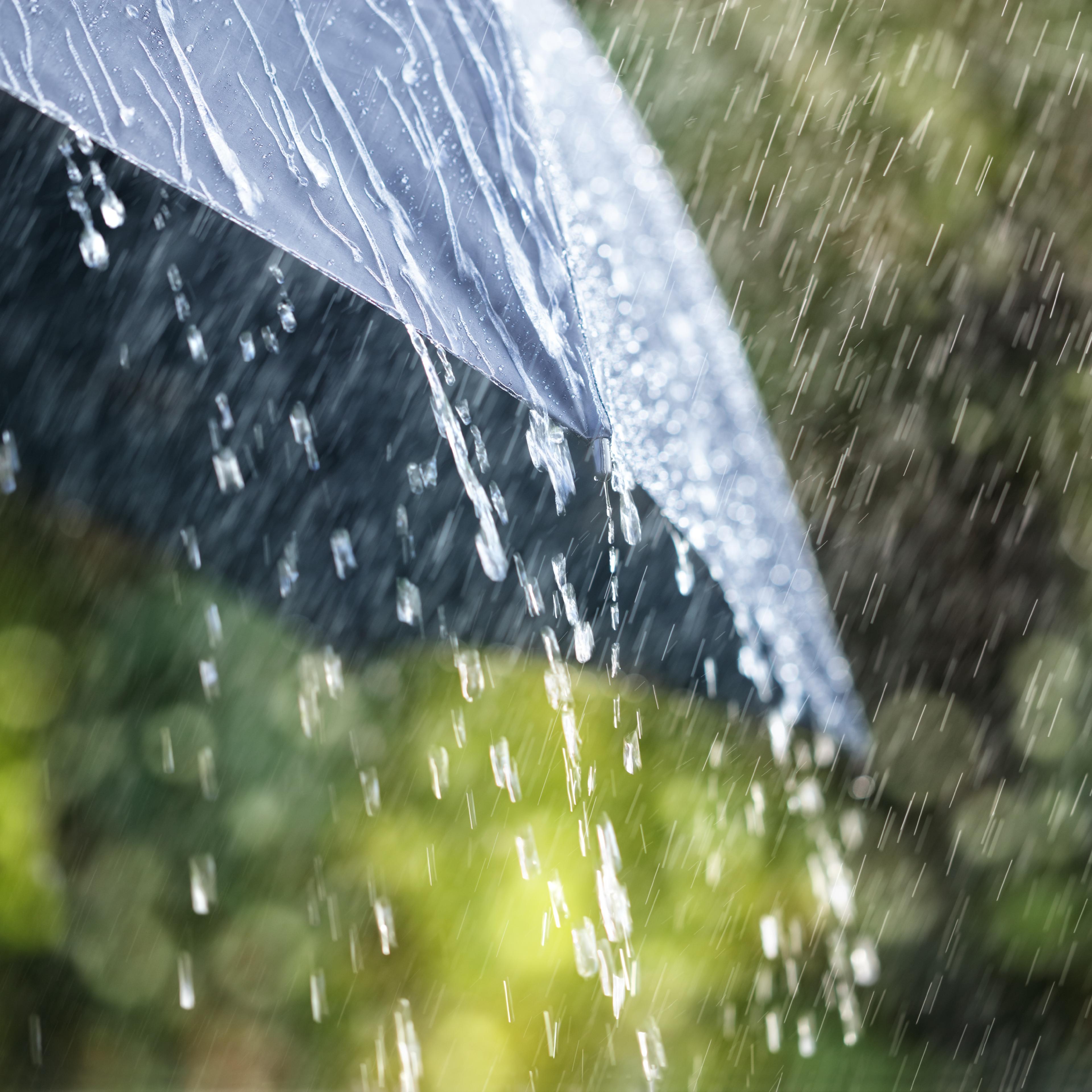 umbrella rain spring weather
