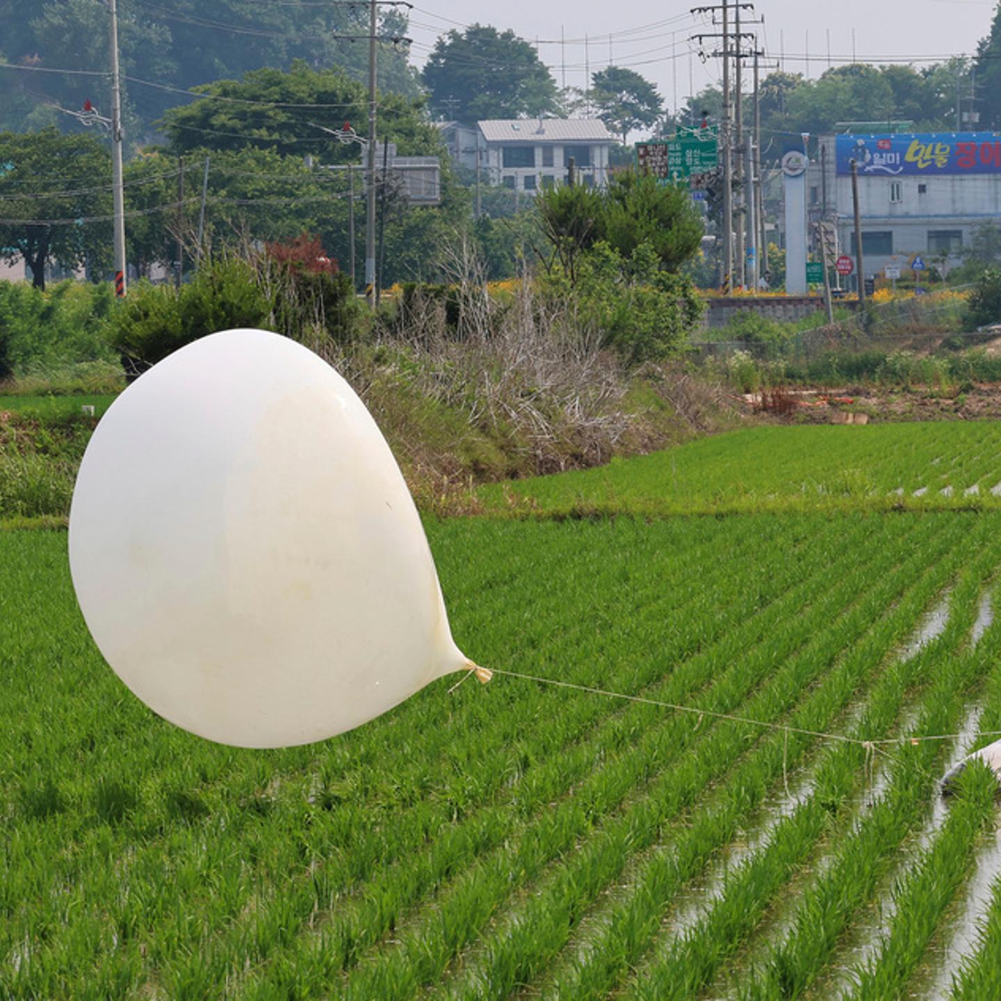 A balloon presumably sent by North Korea, is seen in a paddy field in Incheon, South Korea, on June 10, 2024.