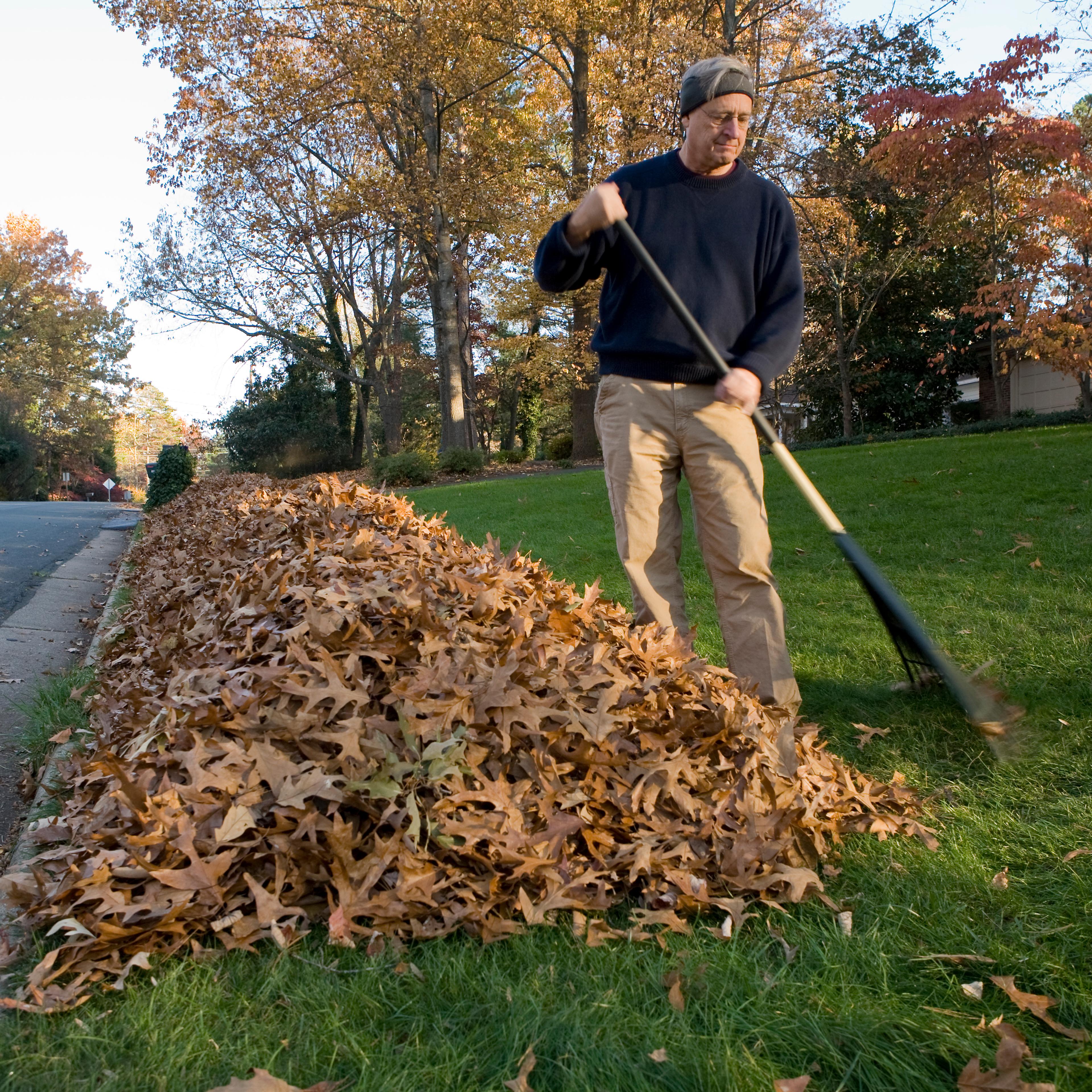 Trump gets mocked for raking comment.