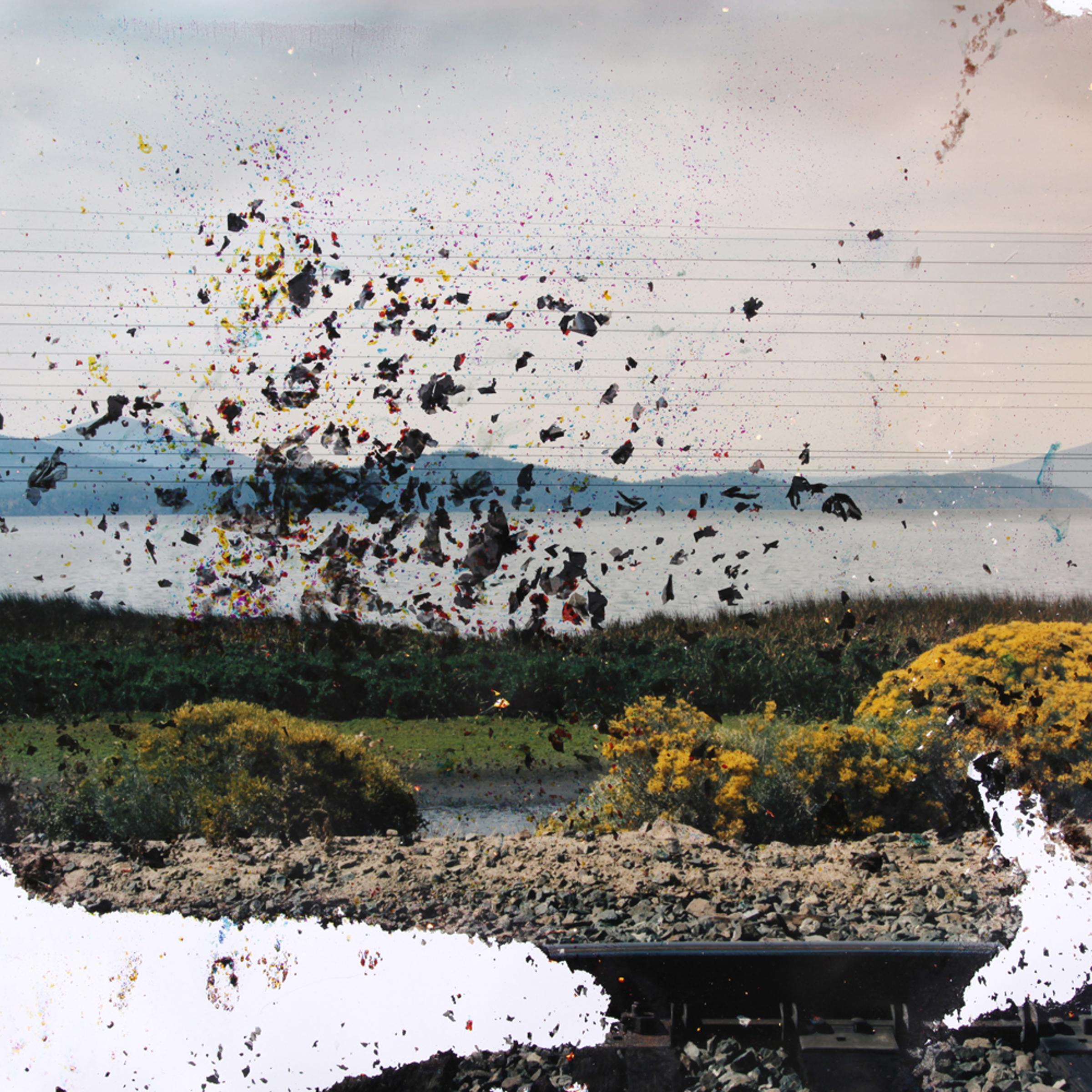 The images in this gallery are from the series <i>Lakes and Reservoirs</i><br /><br /><i>Klamath Lake, OR 2,</i> 2009. Chromogenic print soaked in Klamath Lake water.