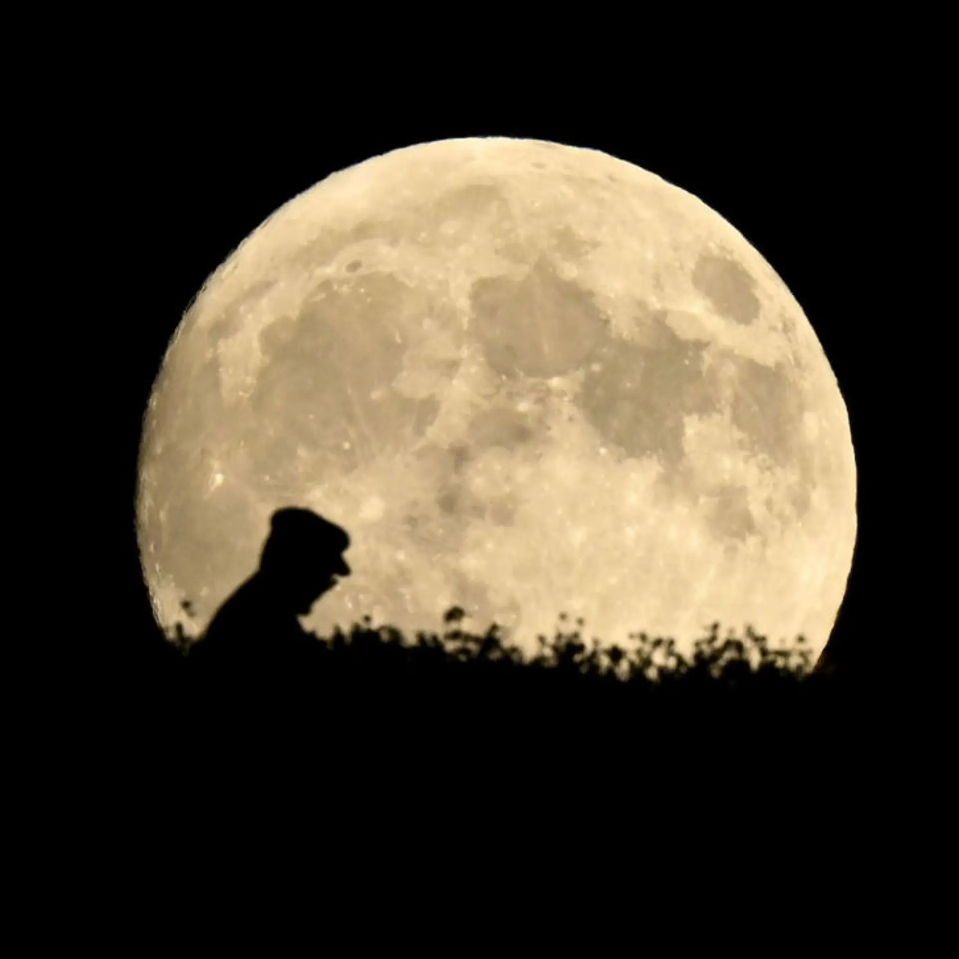 Harvest moon