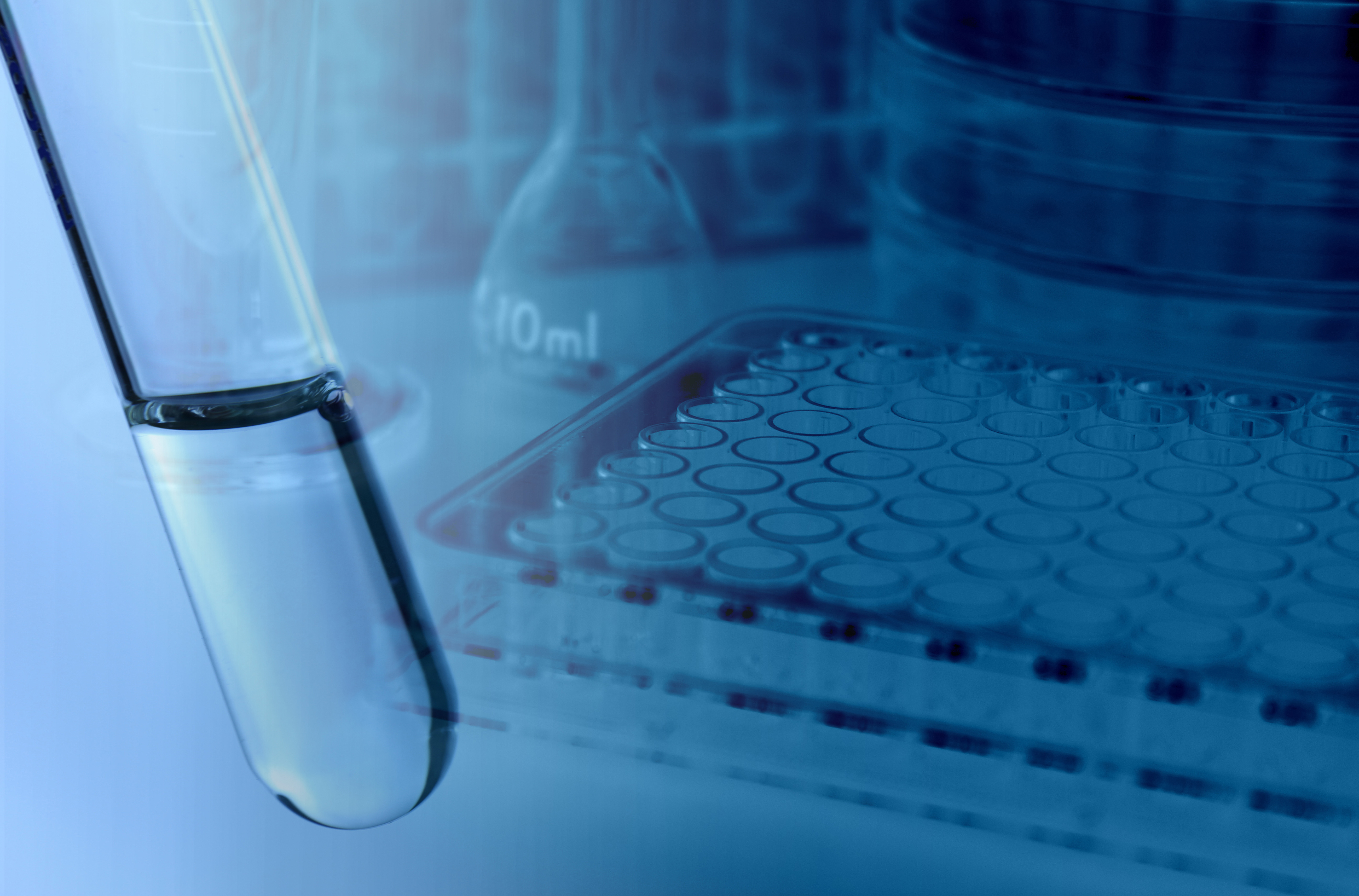 Experiments in the laboratory
