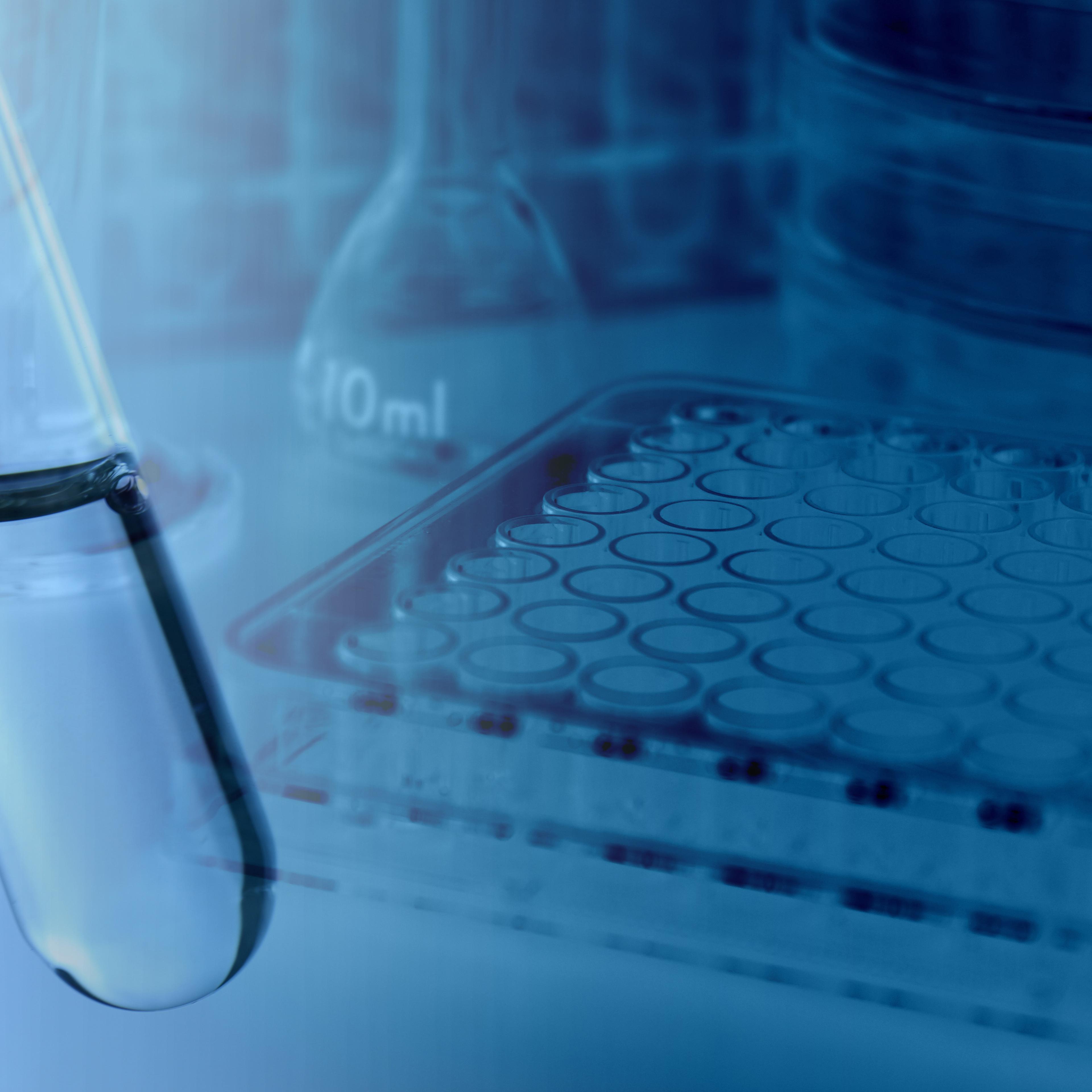 Experiments in the laboratory