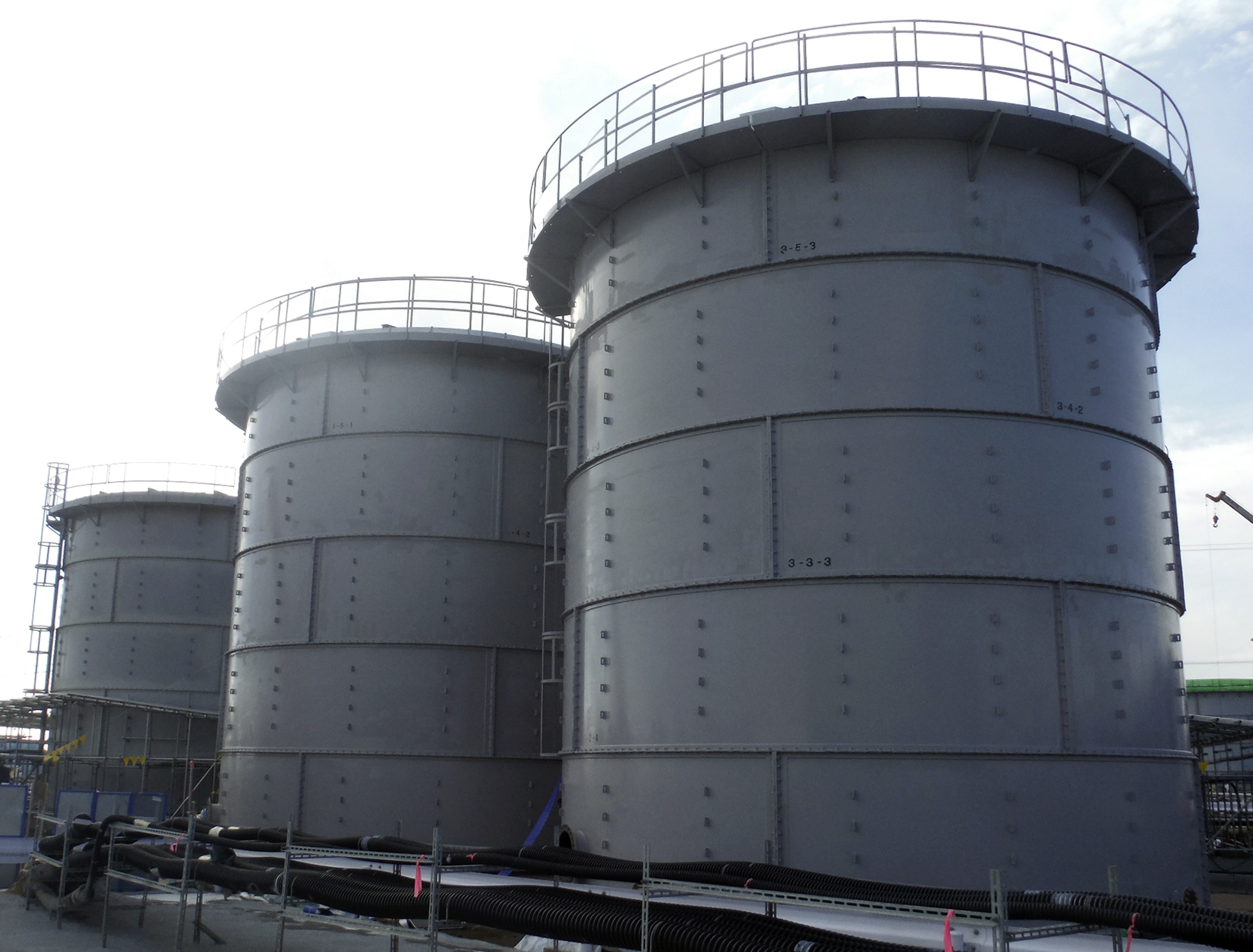 Japan Nuclear Worker Death