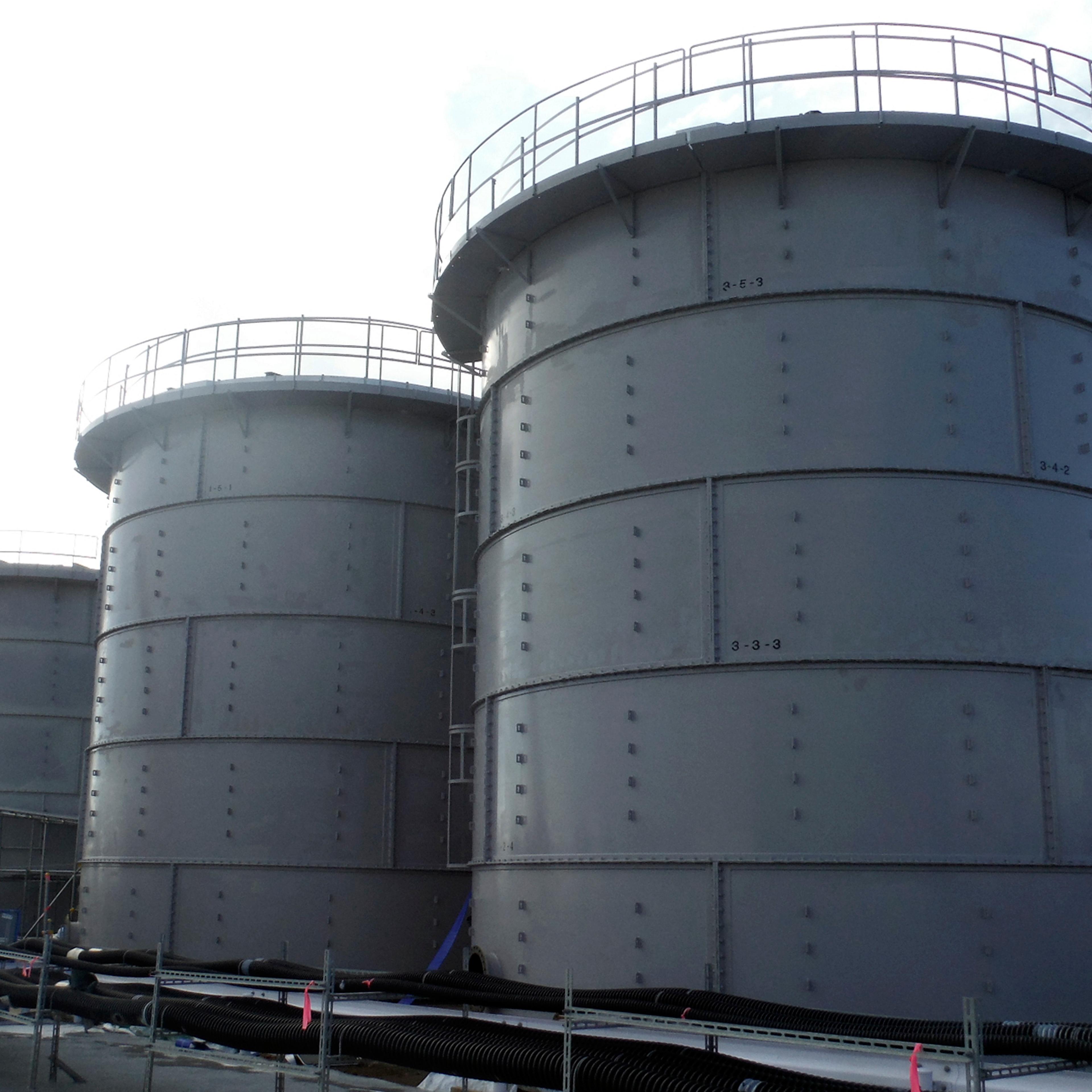 Japan Nuclear Worker Death