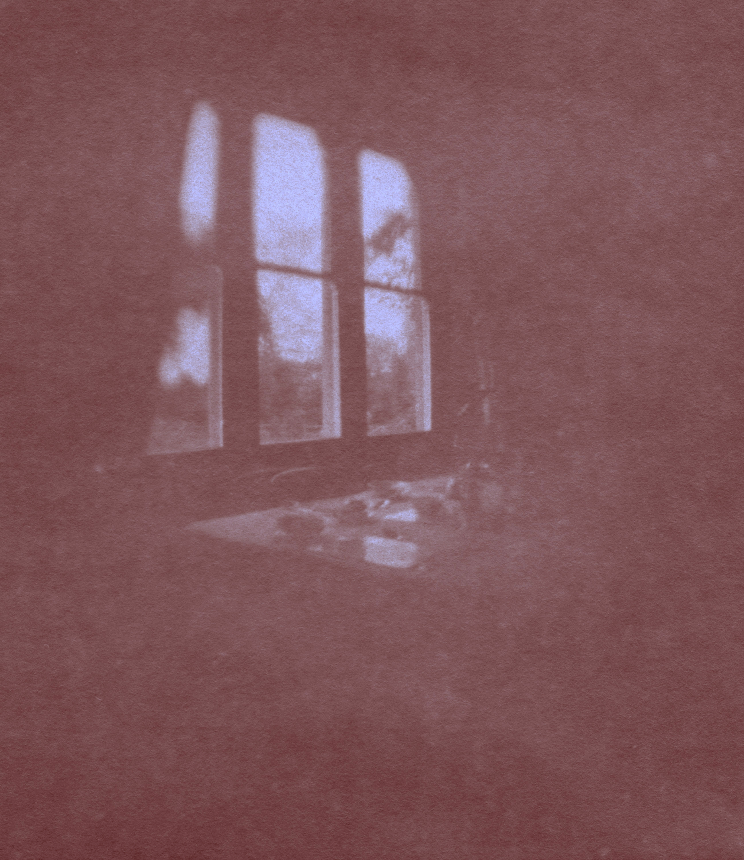 Breakfast at the Refectory, 2010 Pigment print from photogenic drawing,