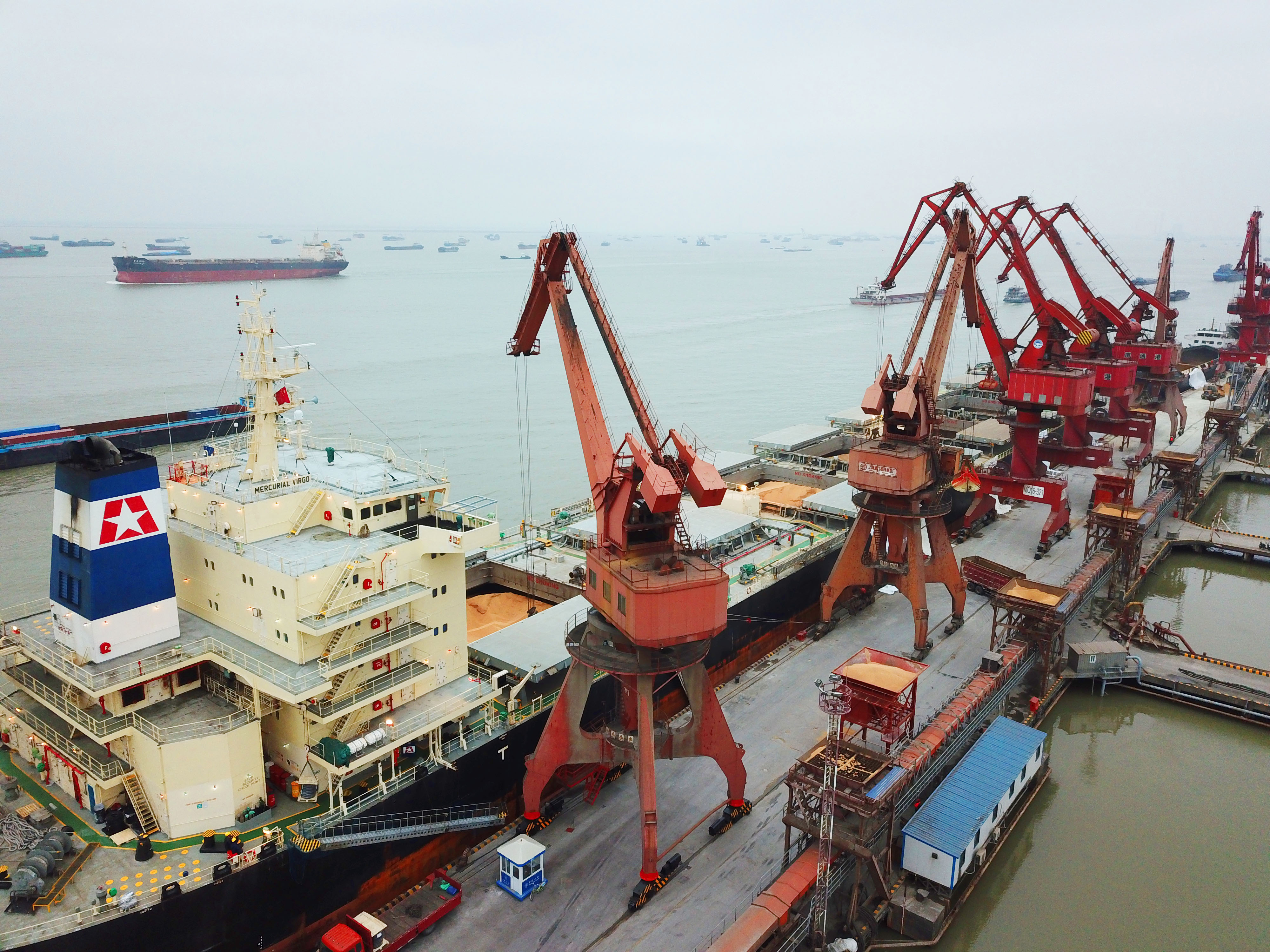 trade soy bean tariffs