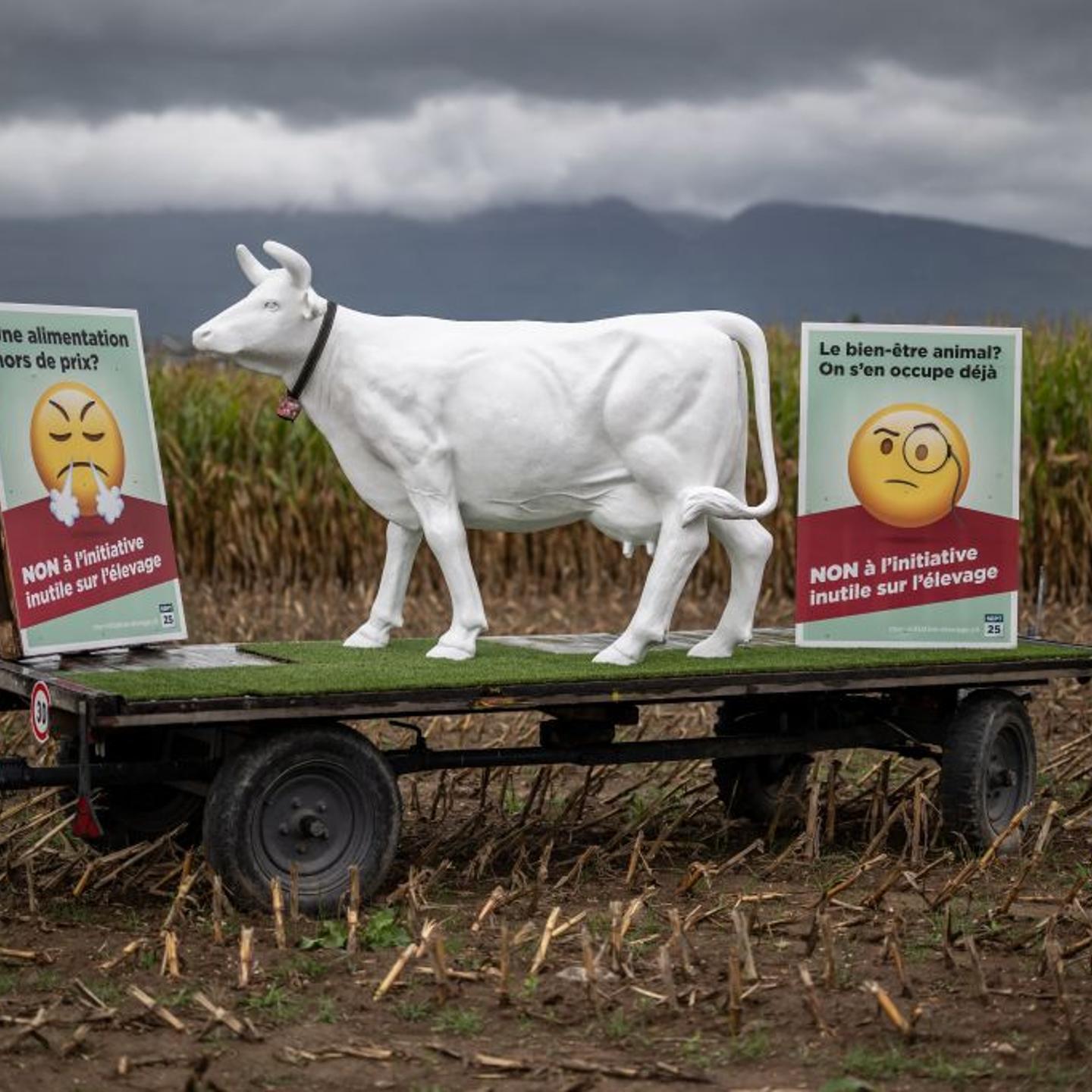 SWITZERLAND-VOTE-ANIMAL-FARMING