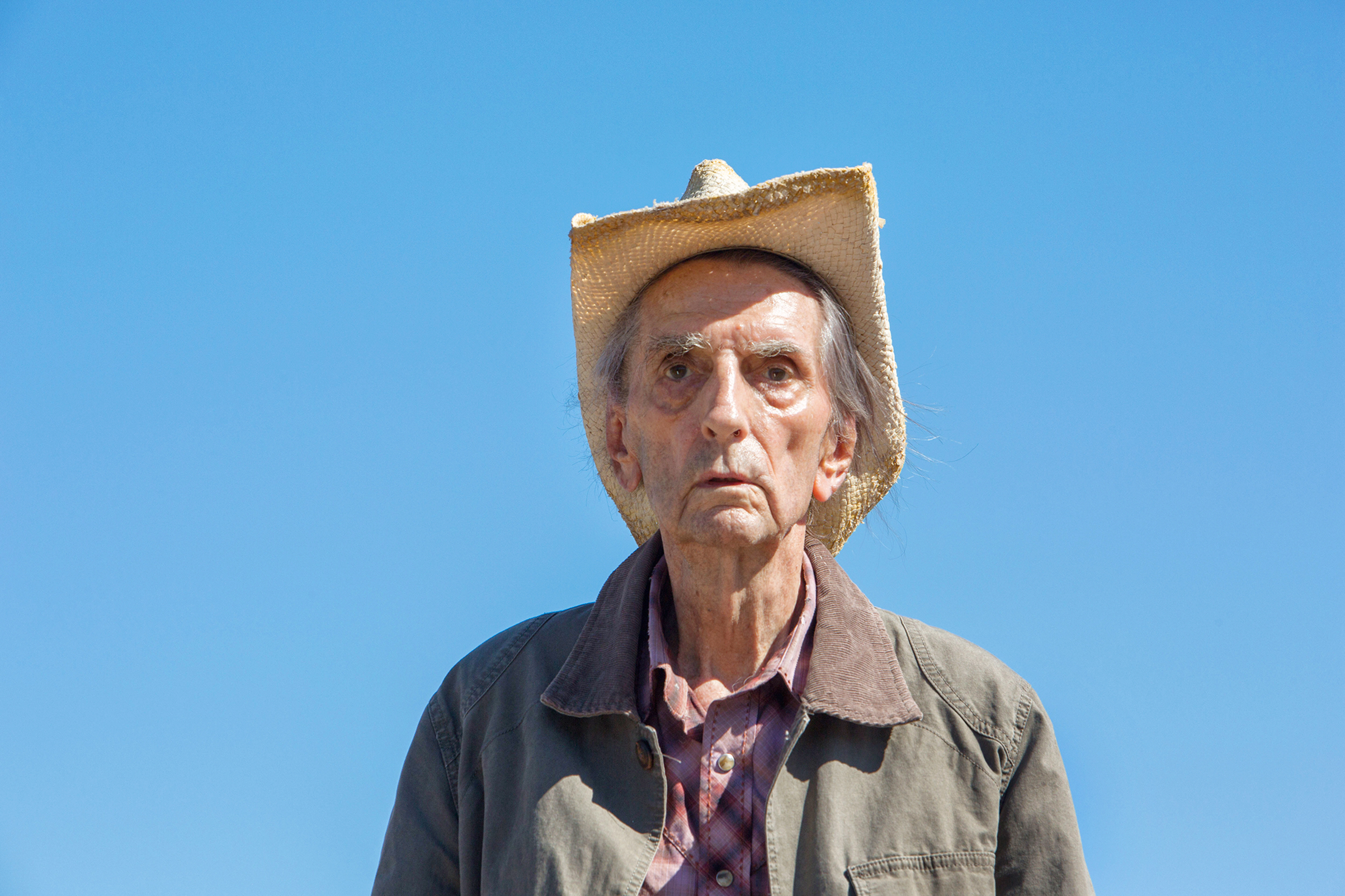 Role of a lifetime: The character of Lucky was written for Stanton