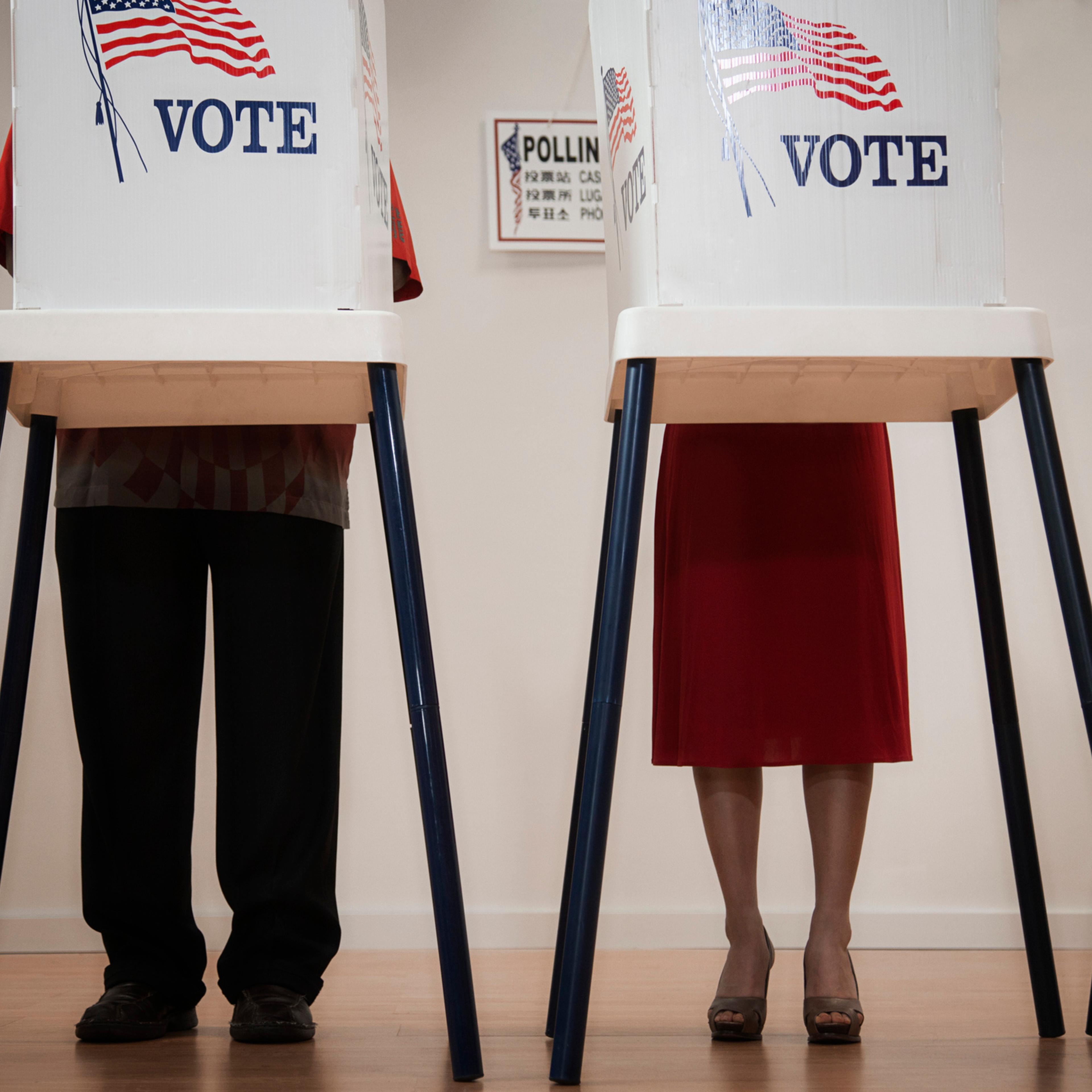 Voters voting in polling place