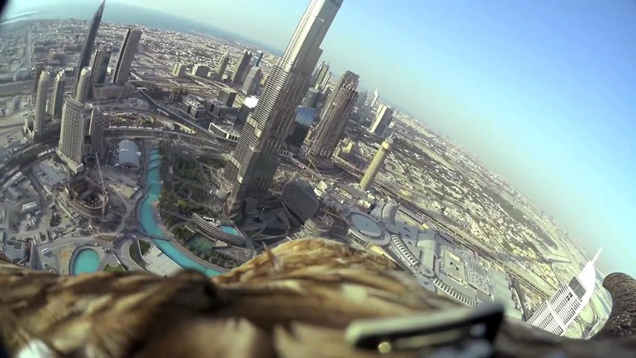 Dubai Eagle Burj Khalifa