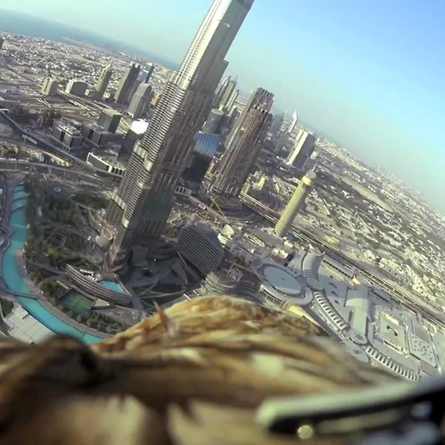 Dubai Eagle Burj Khalifa