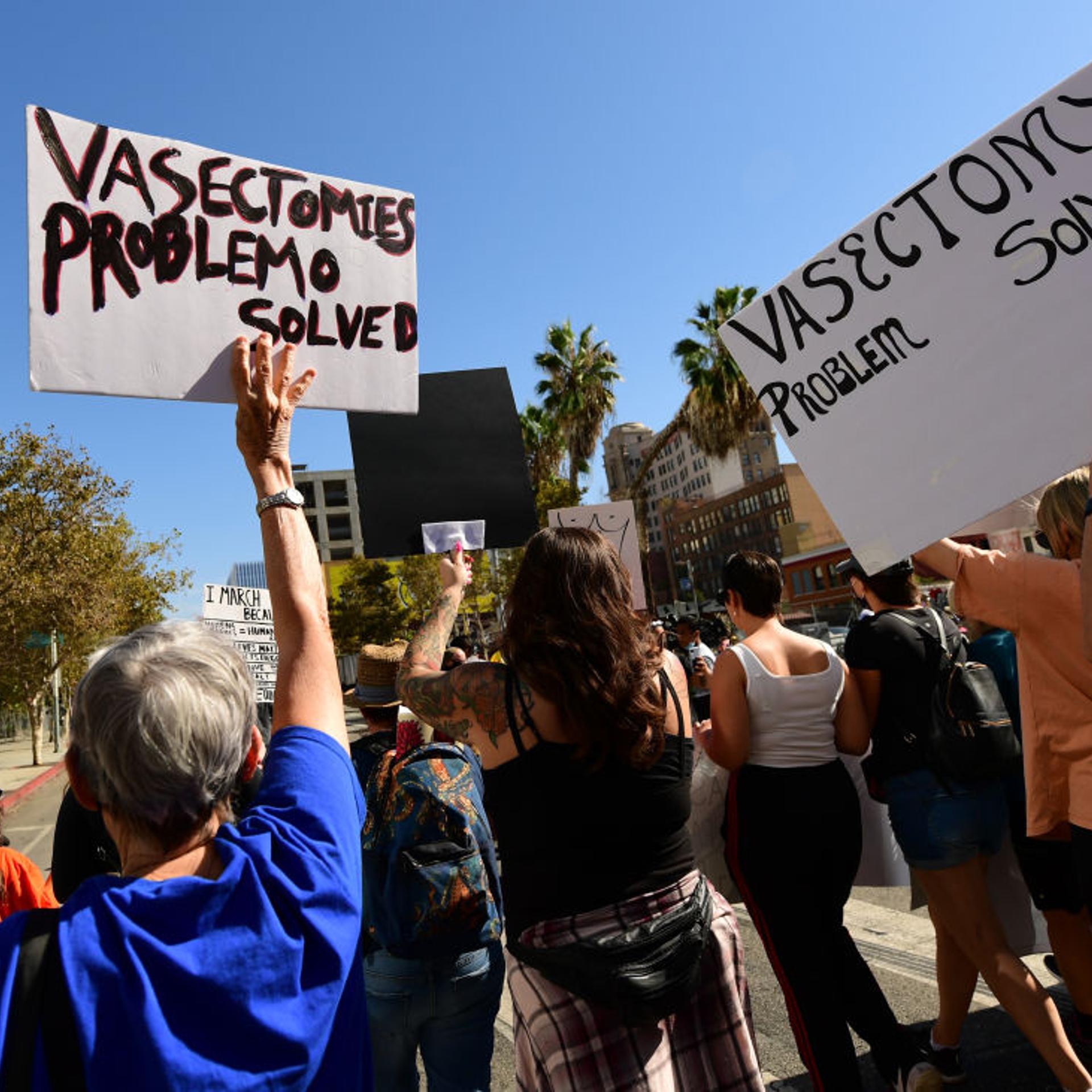 Protesters hold signs about vasectomies