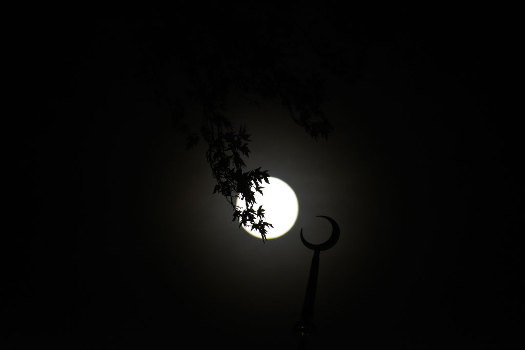 Final supermoon or Beaver Moon of 2024