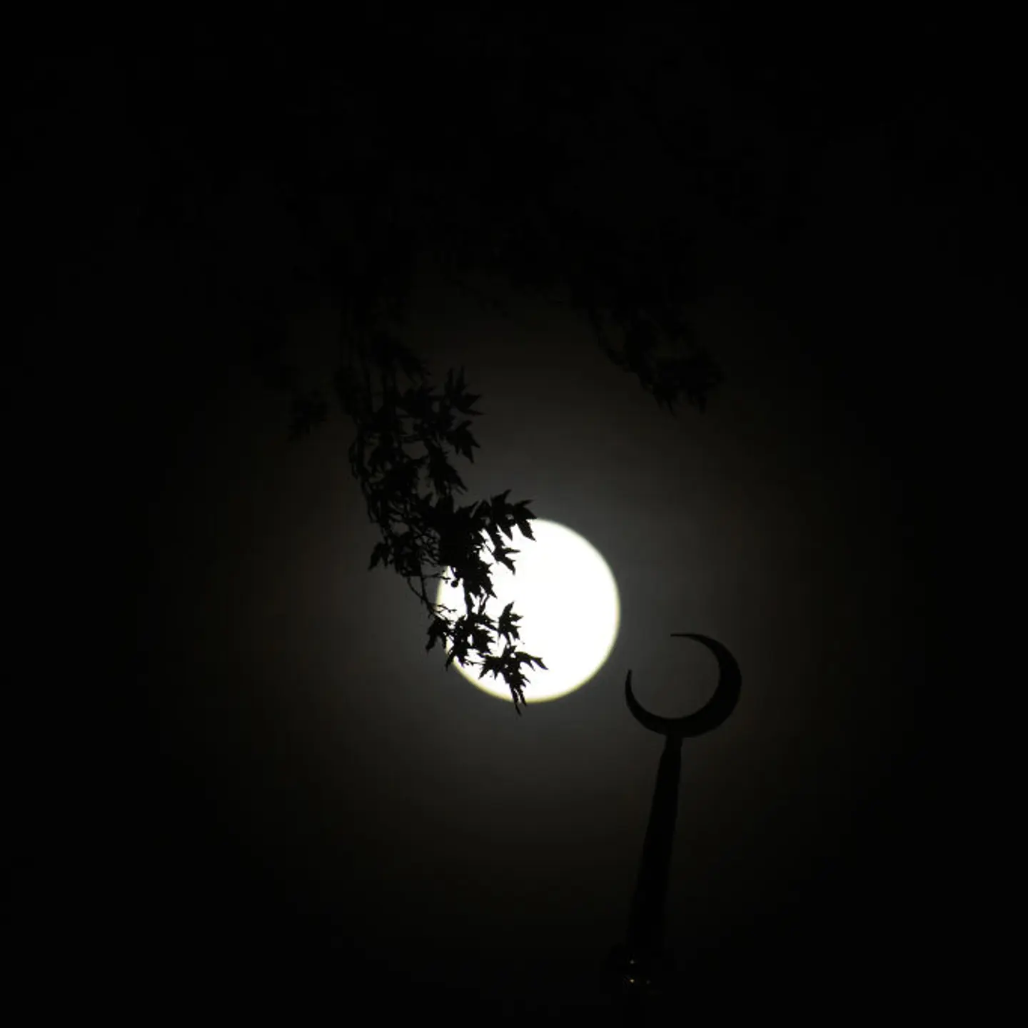 Final supermoon or Beaver Moon of 2024