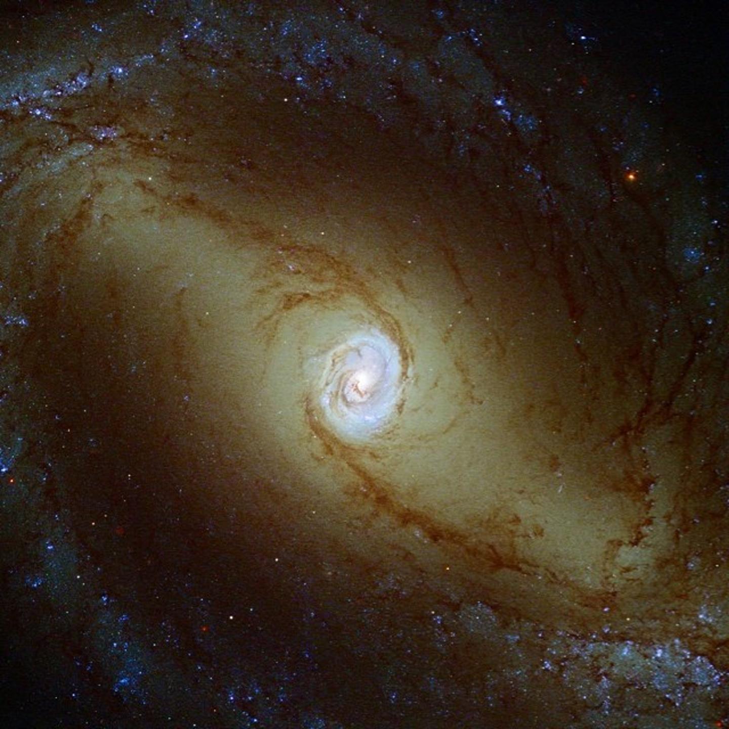 NASA Goddard Instagram