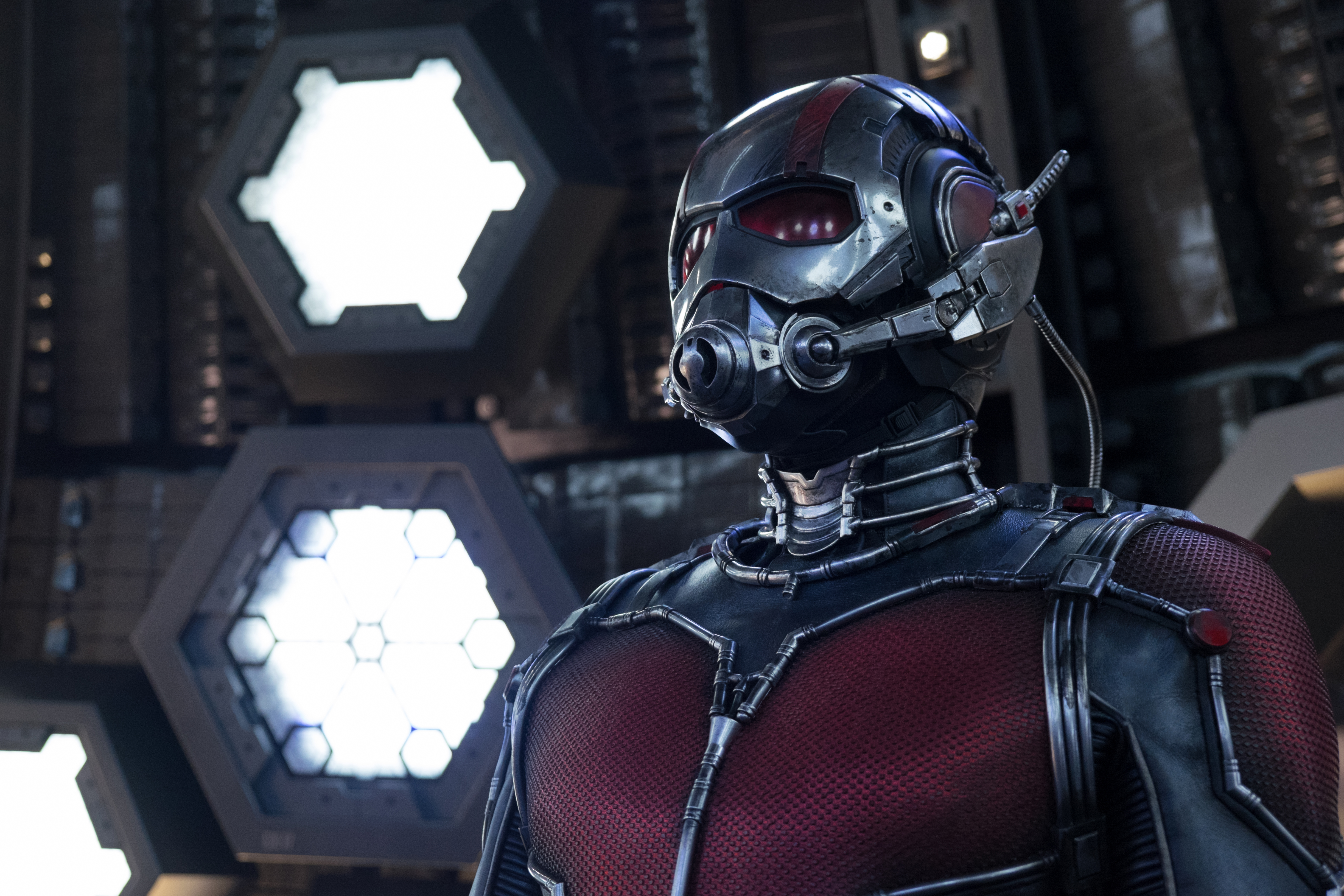 antman paul rudd