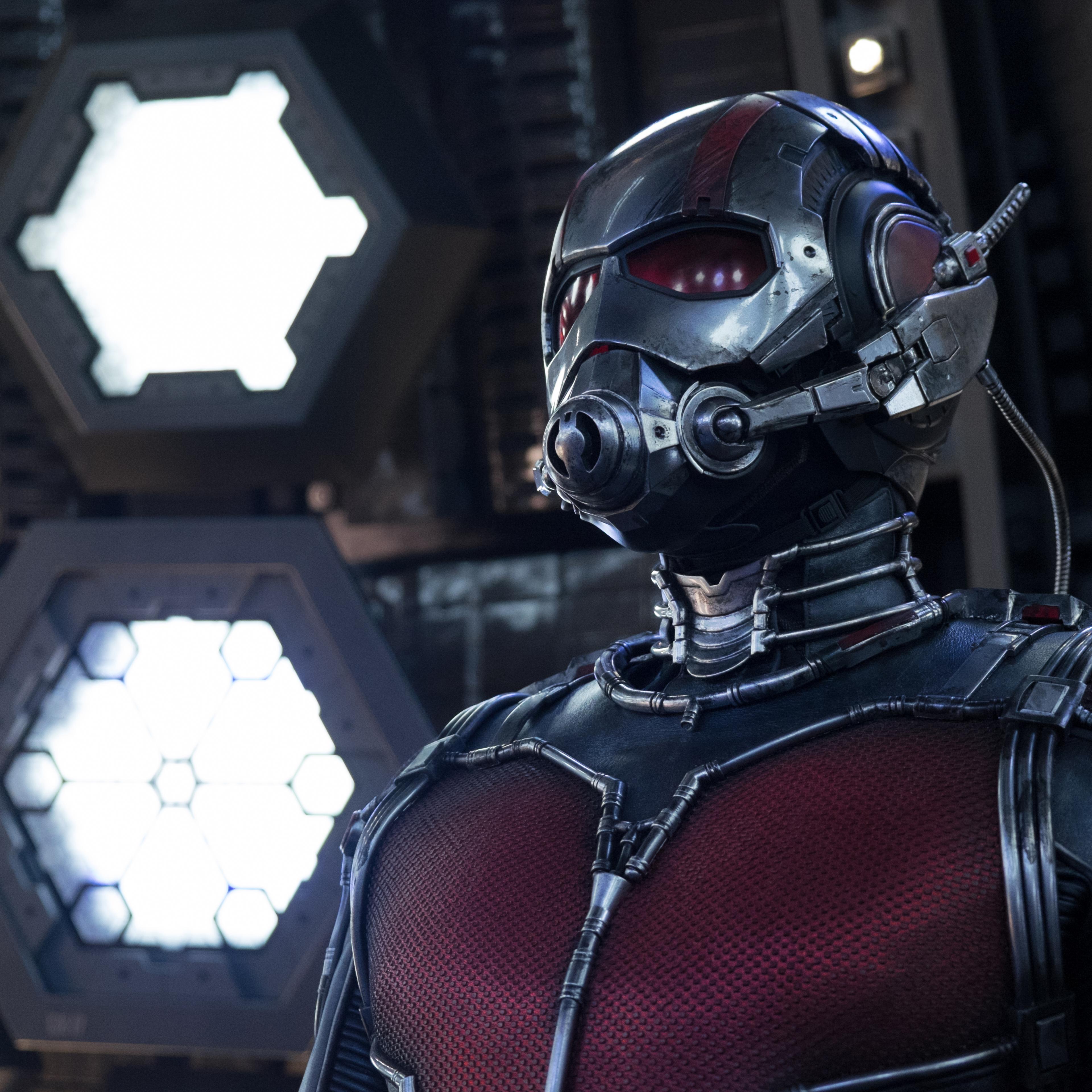 antman paul rudd