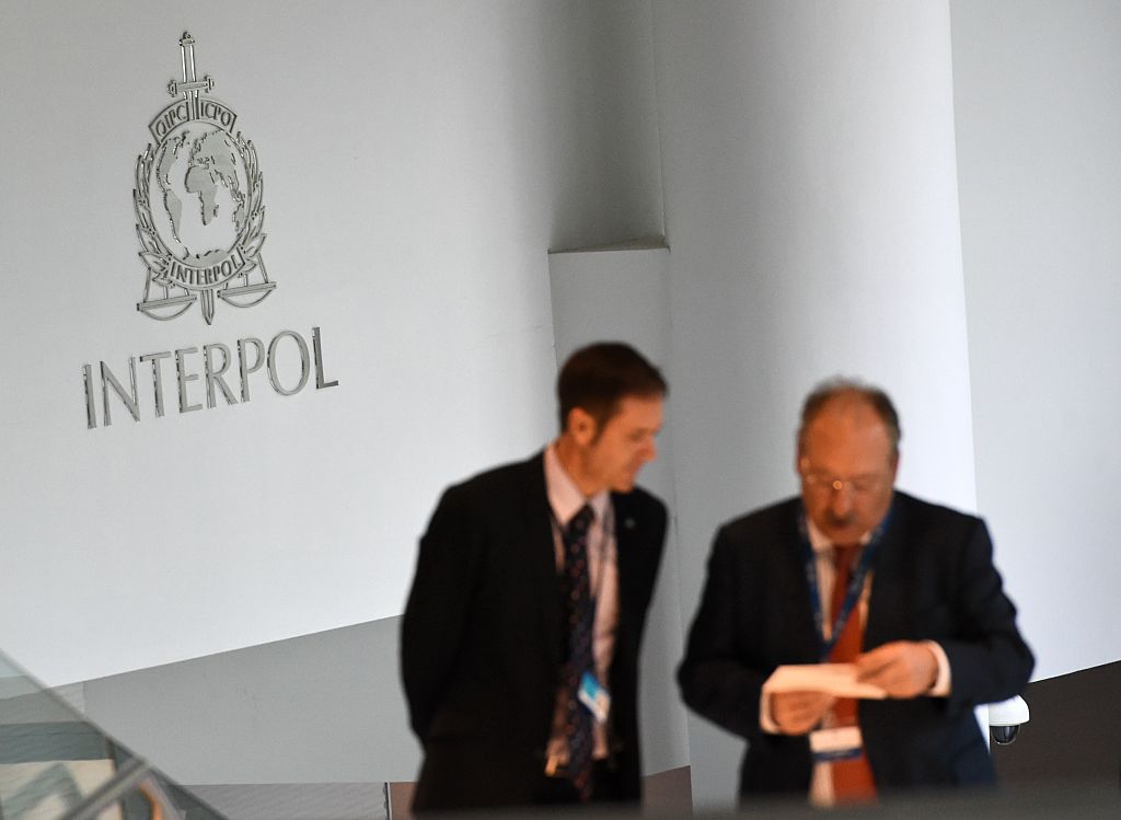 Interpol Busts Paedophile Ring