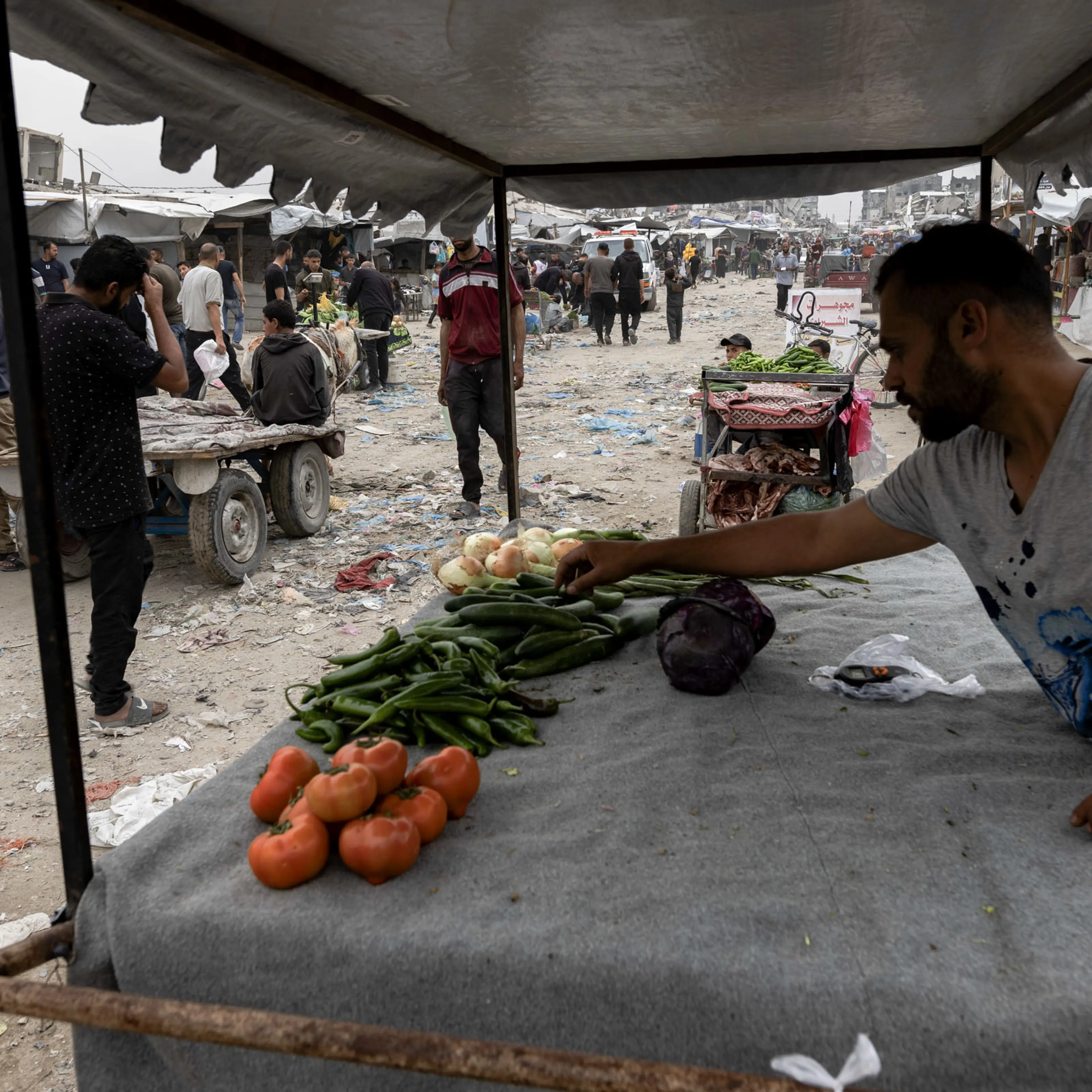 Vegetables for sale at a market in Jabaliya, northern Gaza Strip, April 23, 2025.
