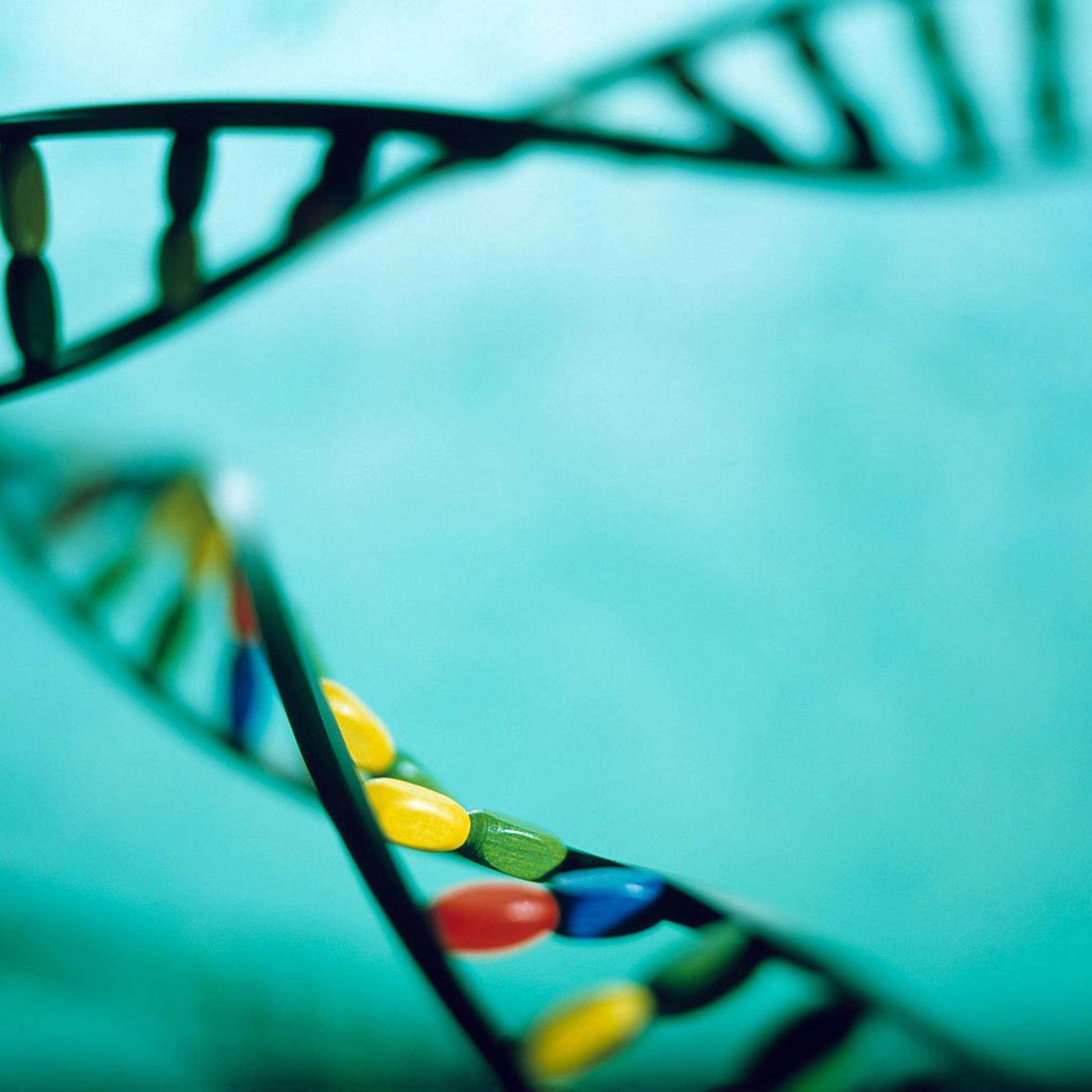 DNA helices