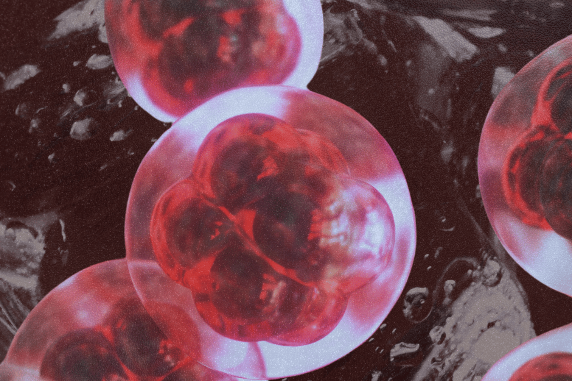 Surplus Embryos What Do I Do With My Leftover Frozen Embryos After IVF?