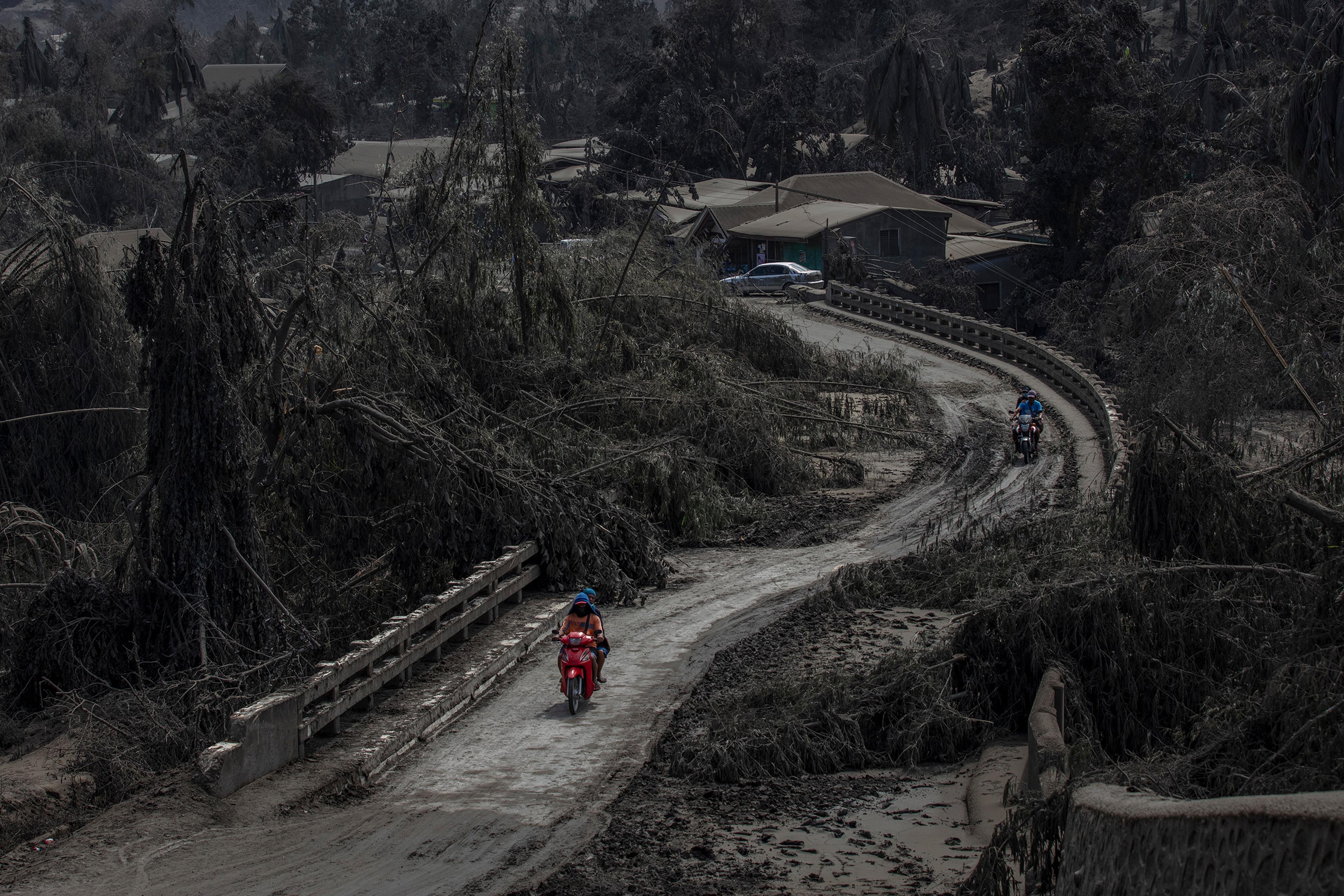 Motorists cross a bridge partially blocked by trees, brought down by volcanic ash from the recent eruption, in Laurel.