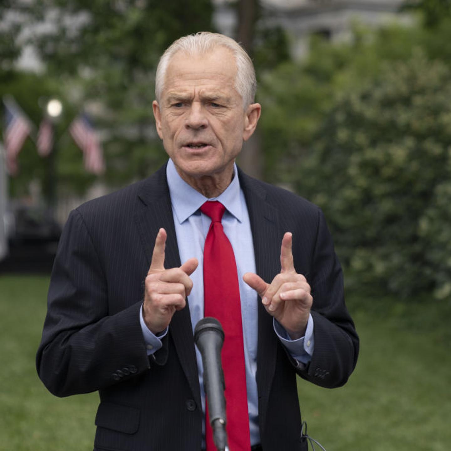 National Trade Council Director Peter Navarro Interview