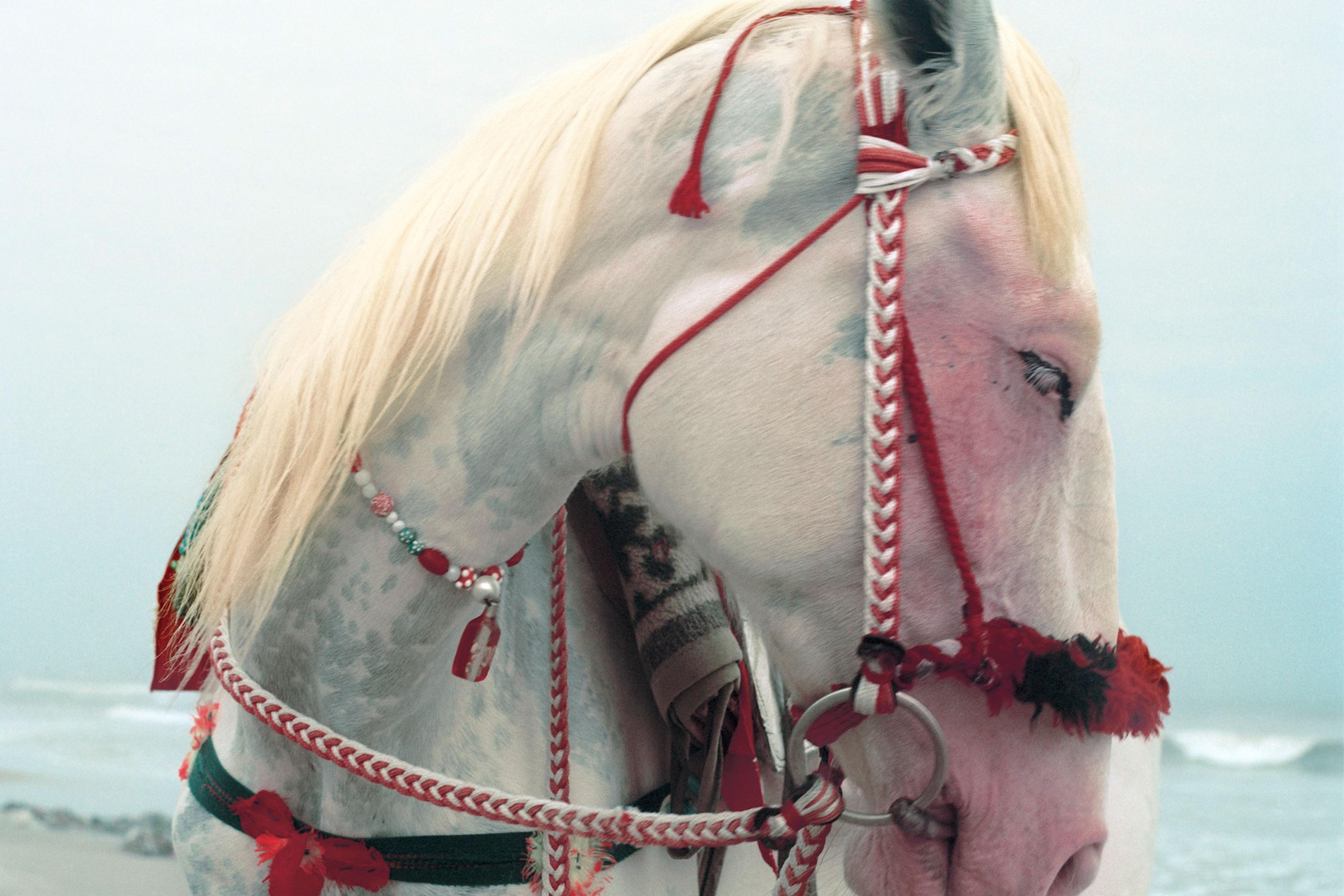 10-Mimi-Cherono-Ng-ok-Untitled-2014-white-horse-beach
