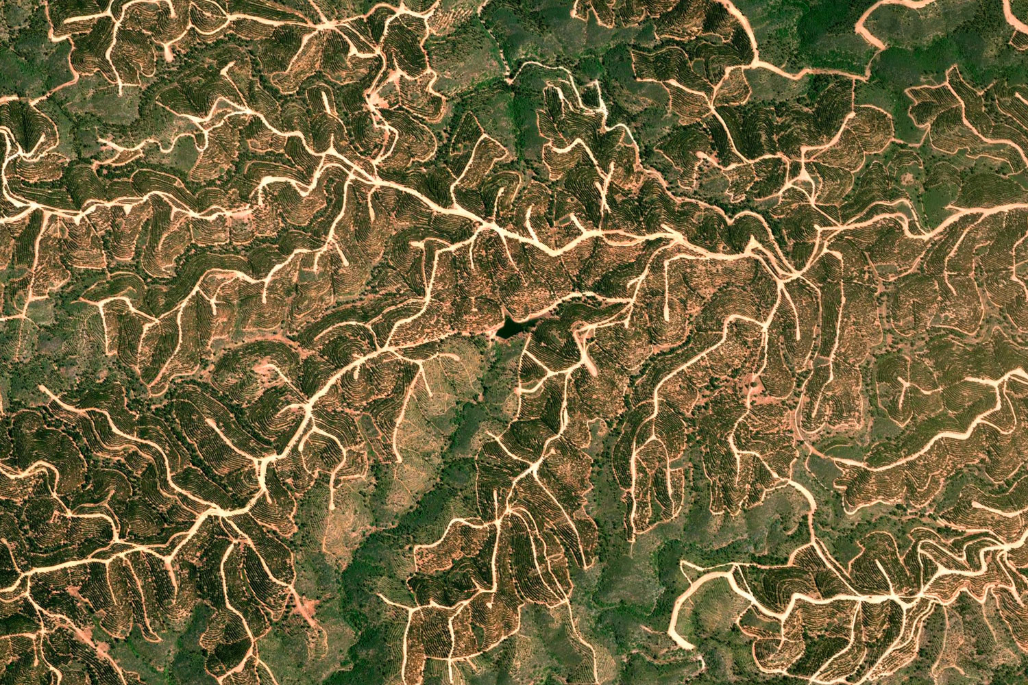 Fractal Patterns on Earth as Seen from Space