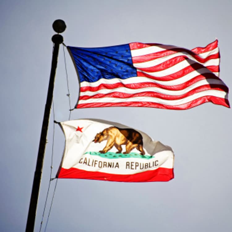 american-california-flags