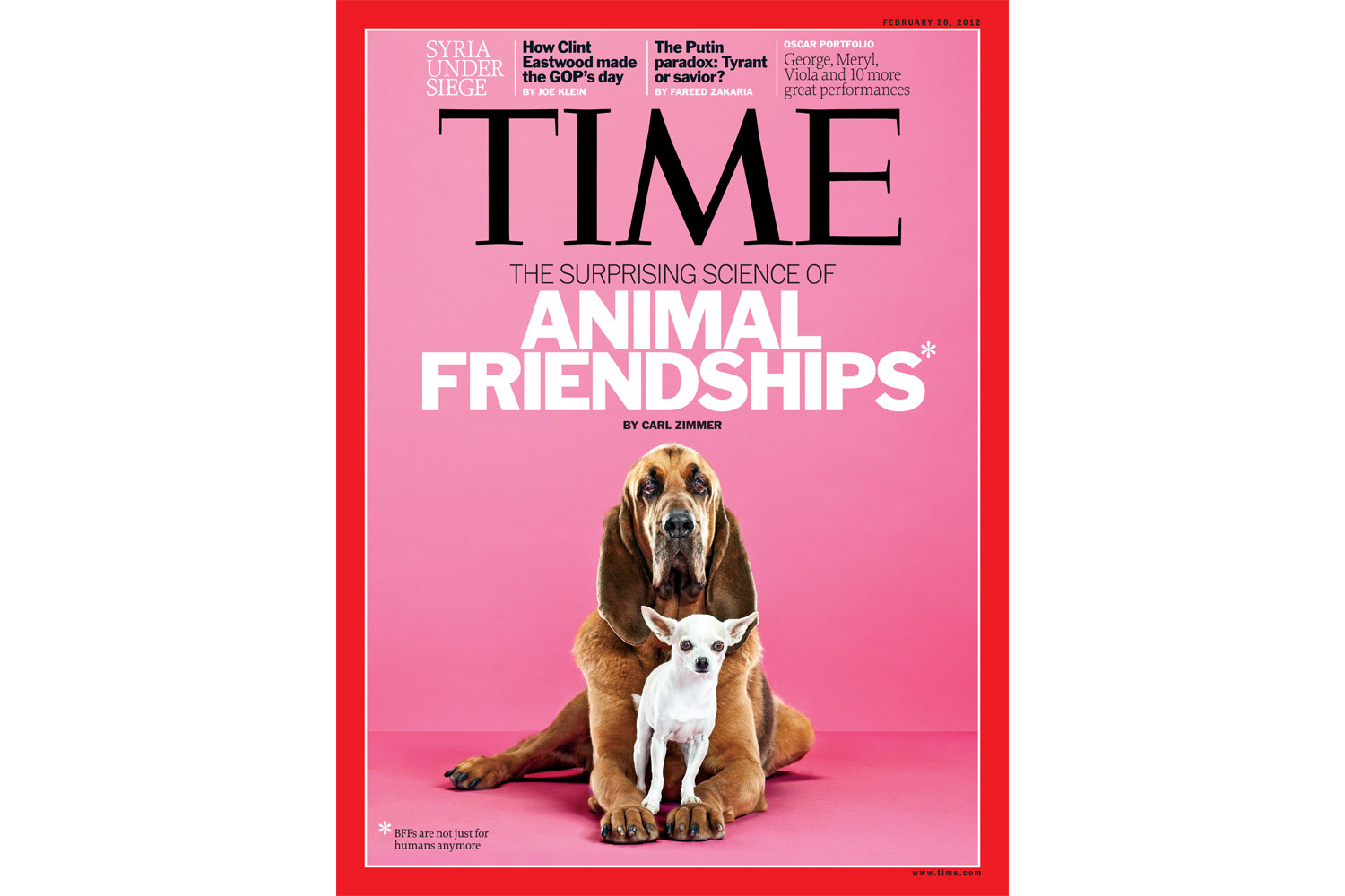 This gallery showcases possible options for this week's cover of TIME.